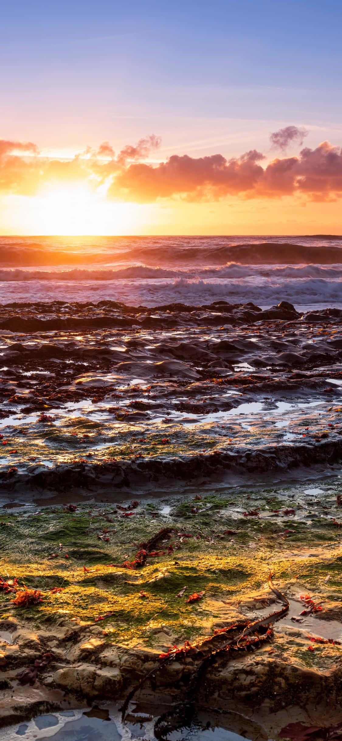 Tận hưởng Bờ biển California từ bất cứ đâu với iPhone X Hình nền