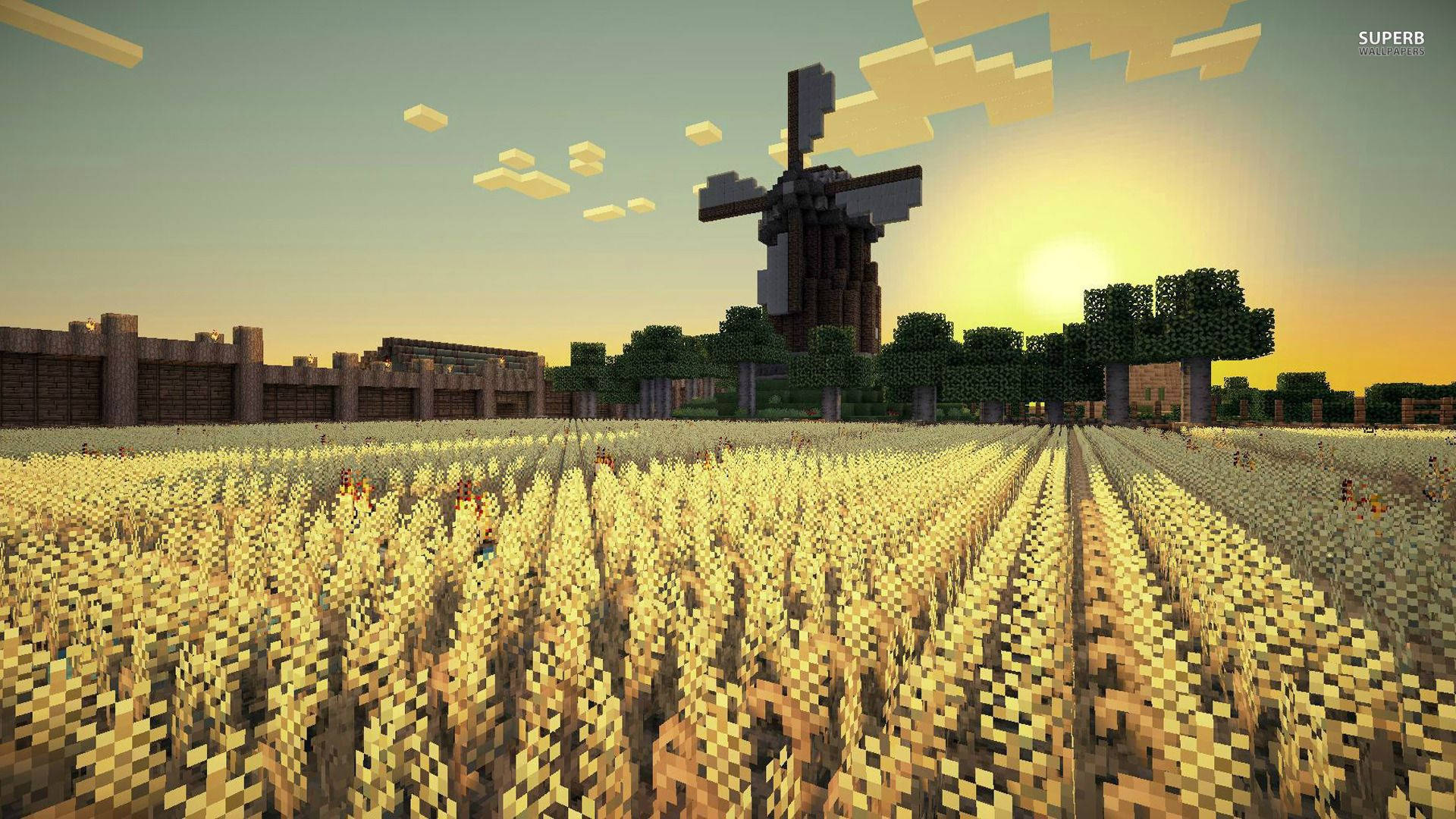 Tận Hưởng Buổi Sáng Yên Bình Trên Cánh Đồng Lúa Minecraft Hình nền