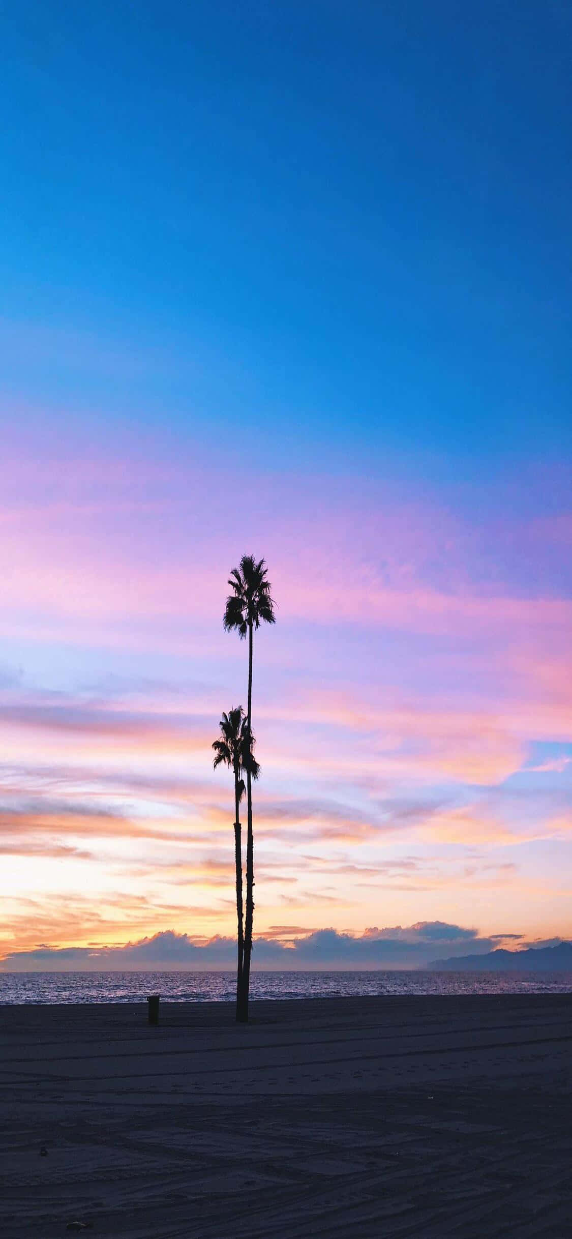 Tận hưởng cuộc sống ở Tiểu bang Vàng với iPhone X California Hình nền