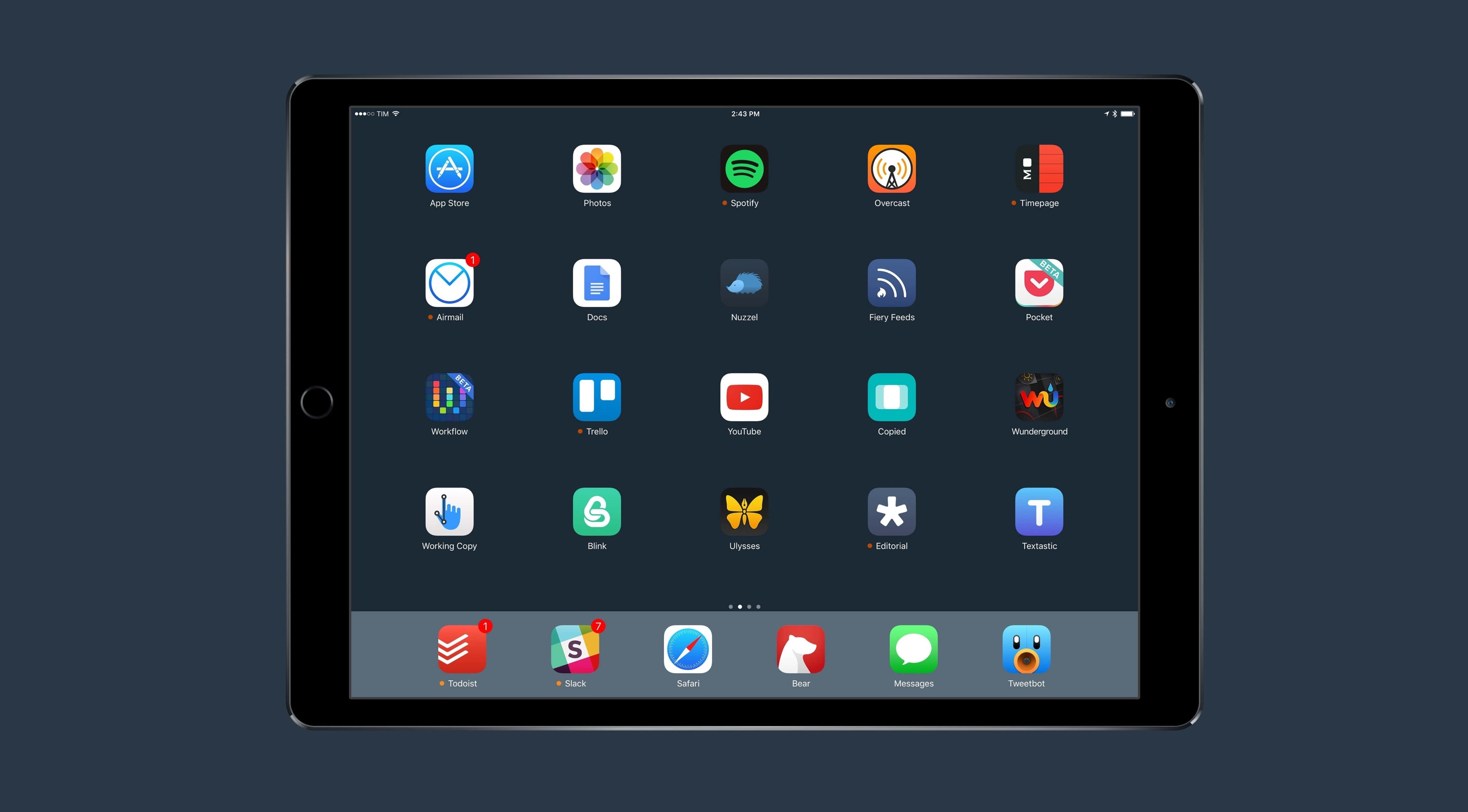 Tận hưởng cuộc sống cùng iPad Hình nền
