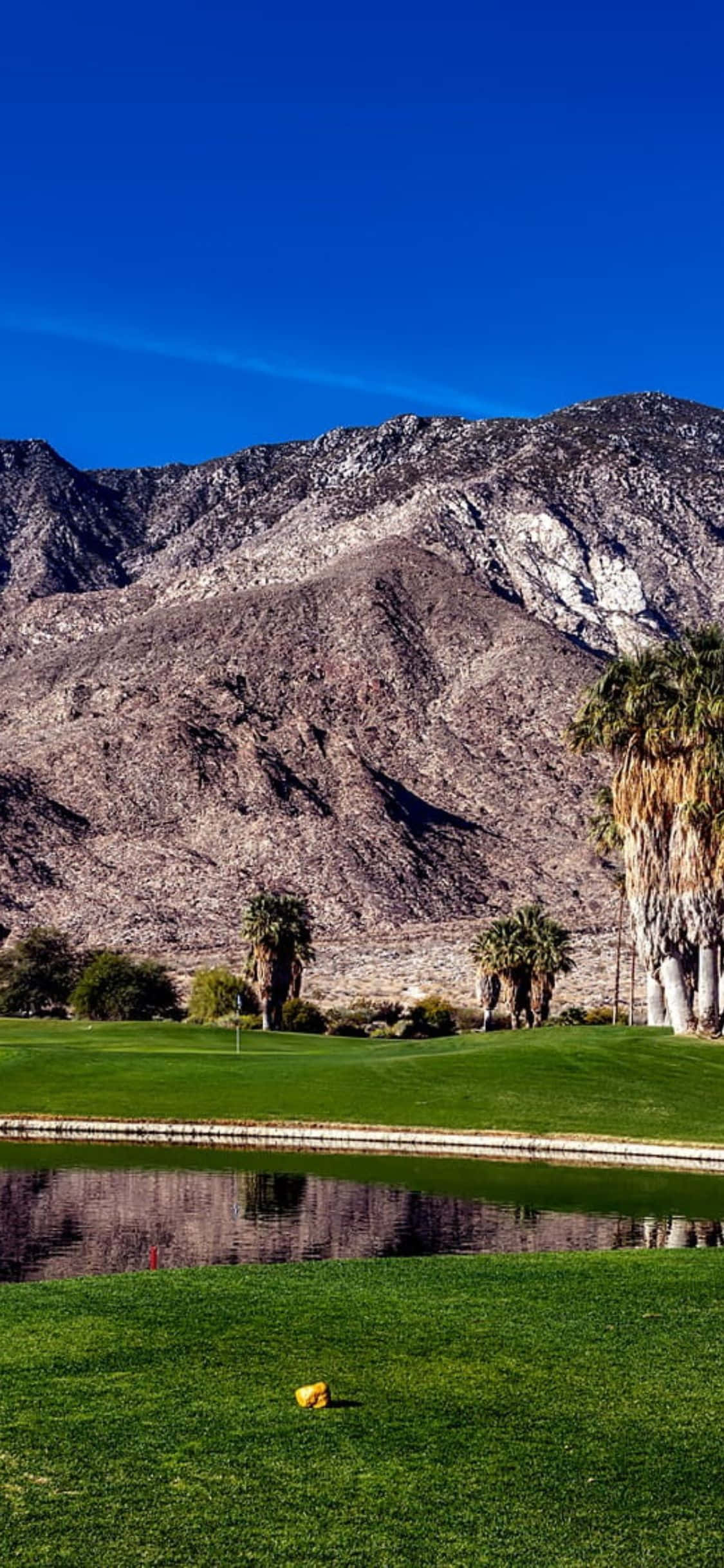 Tận hưởng một vòng golf với iPhone X Hình nền