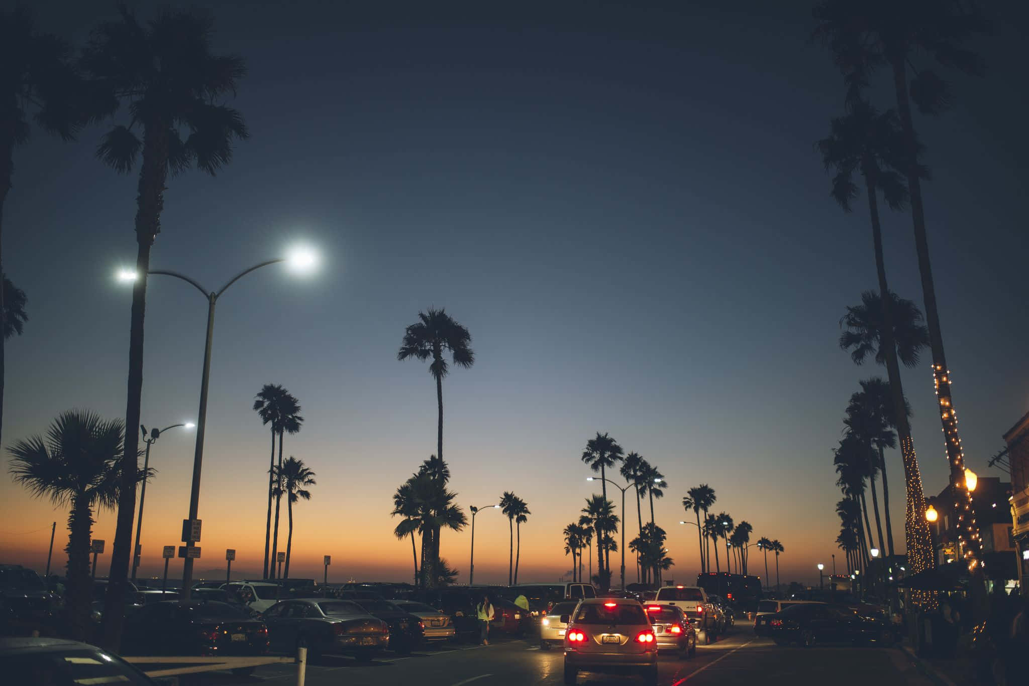 Tận hưởng mùa hè tuyệt nhất California Hình nền