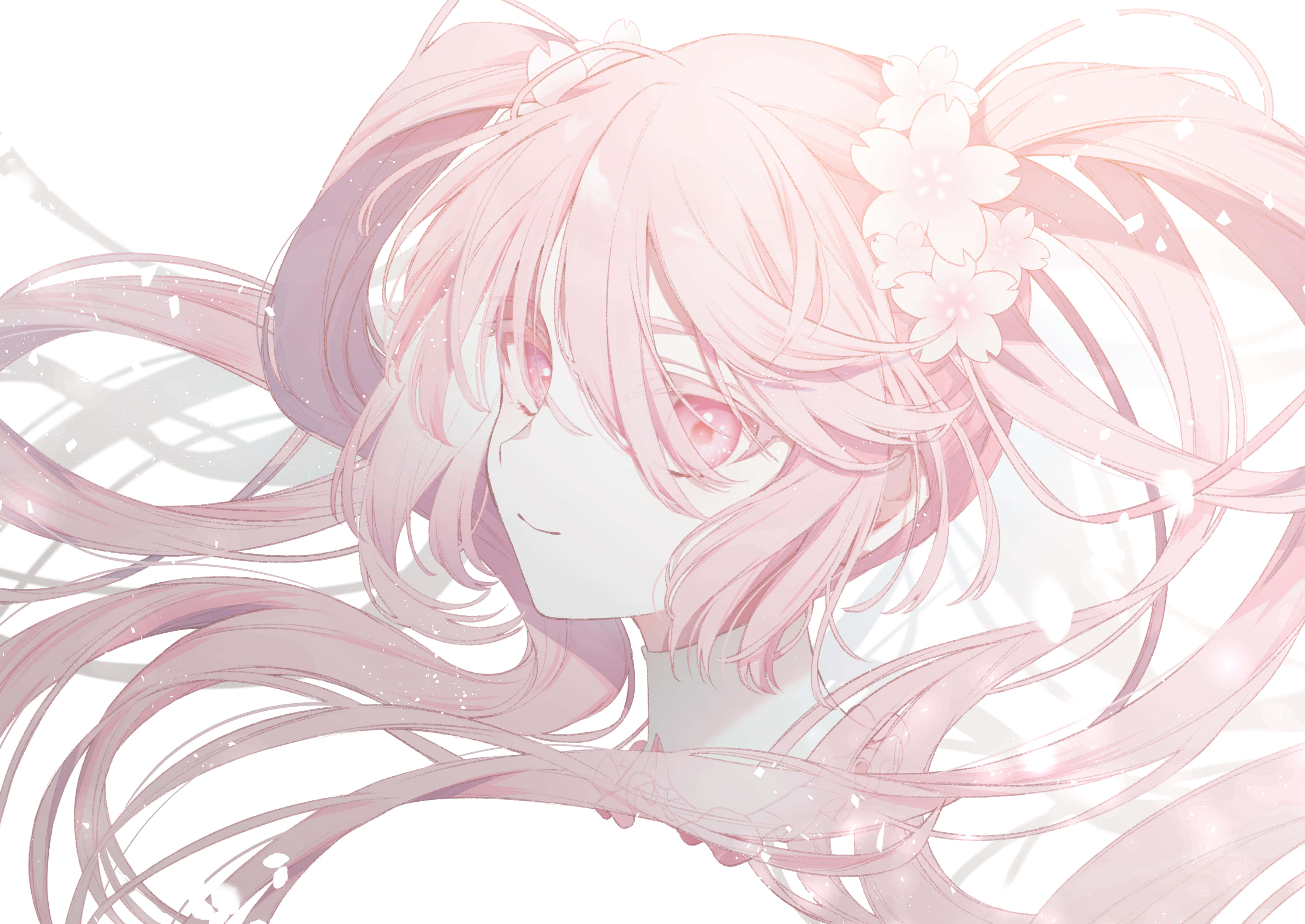 Tận hưởng những cánh hoa anh đào tuyệt đẹp cùng Sakura Miku Hình nền