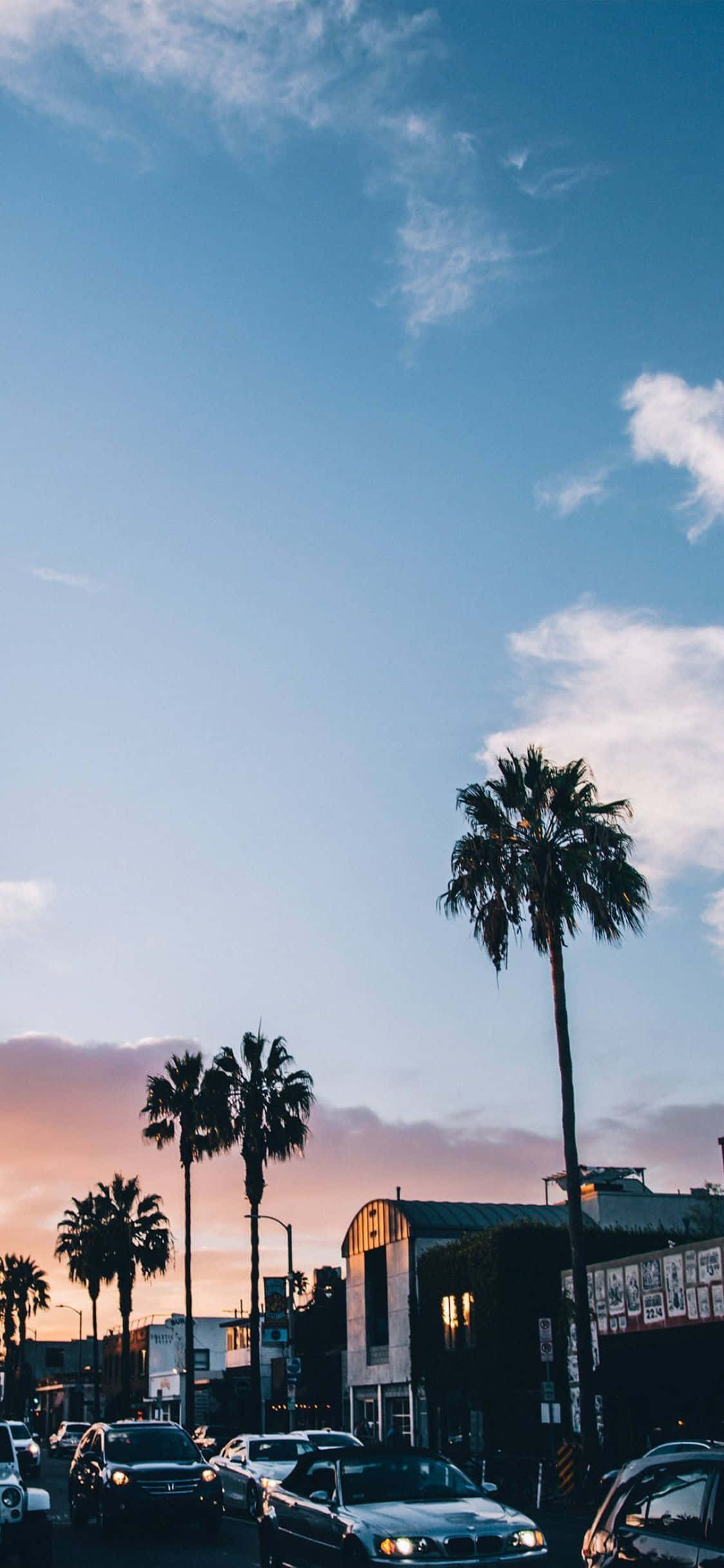Tận hưởng quang cảnh sống động của California từ iPhone Xs của bạn Hình nền