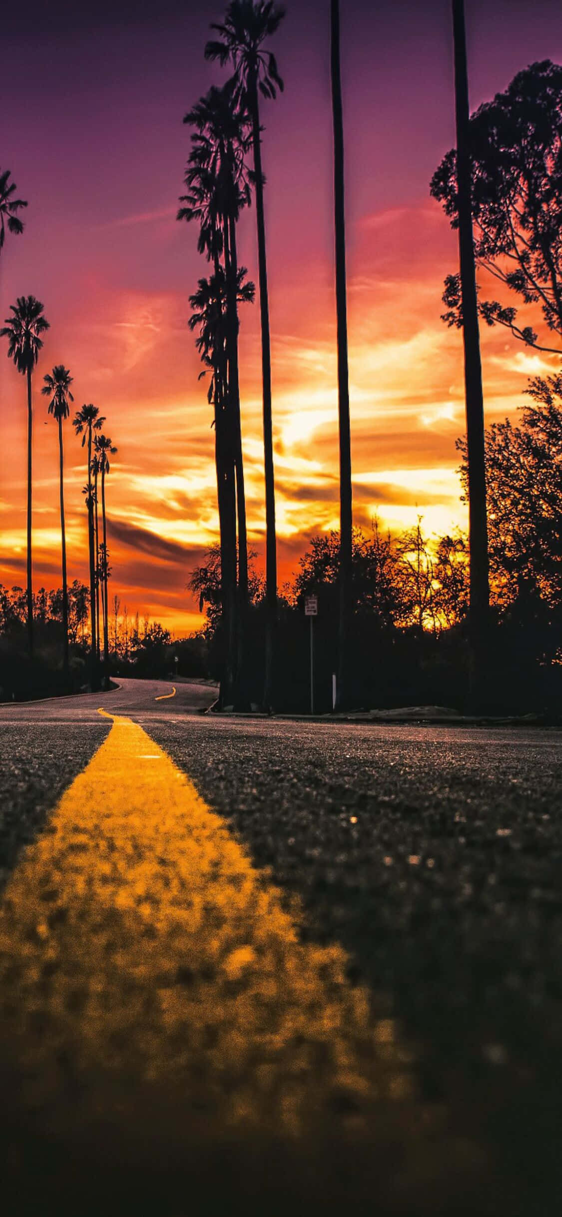 Tận hưởng quang cảnh tuyệt đẹp của California với iPhone X Hình nền