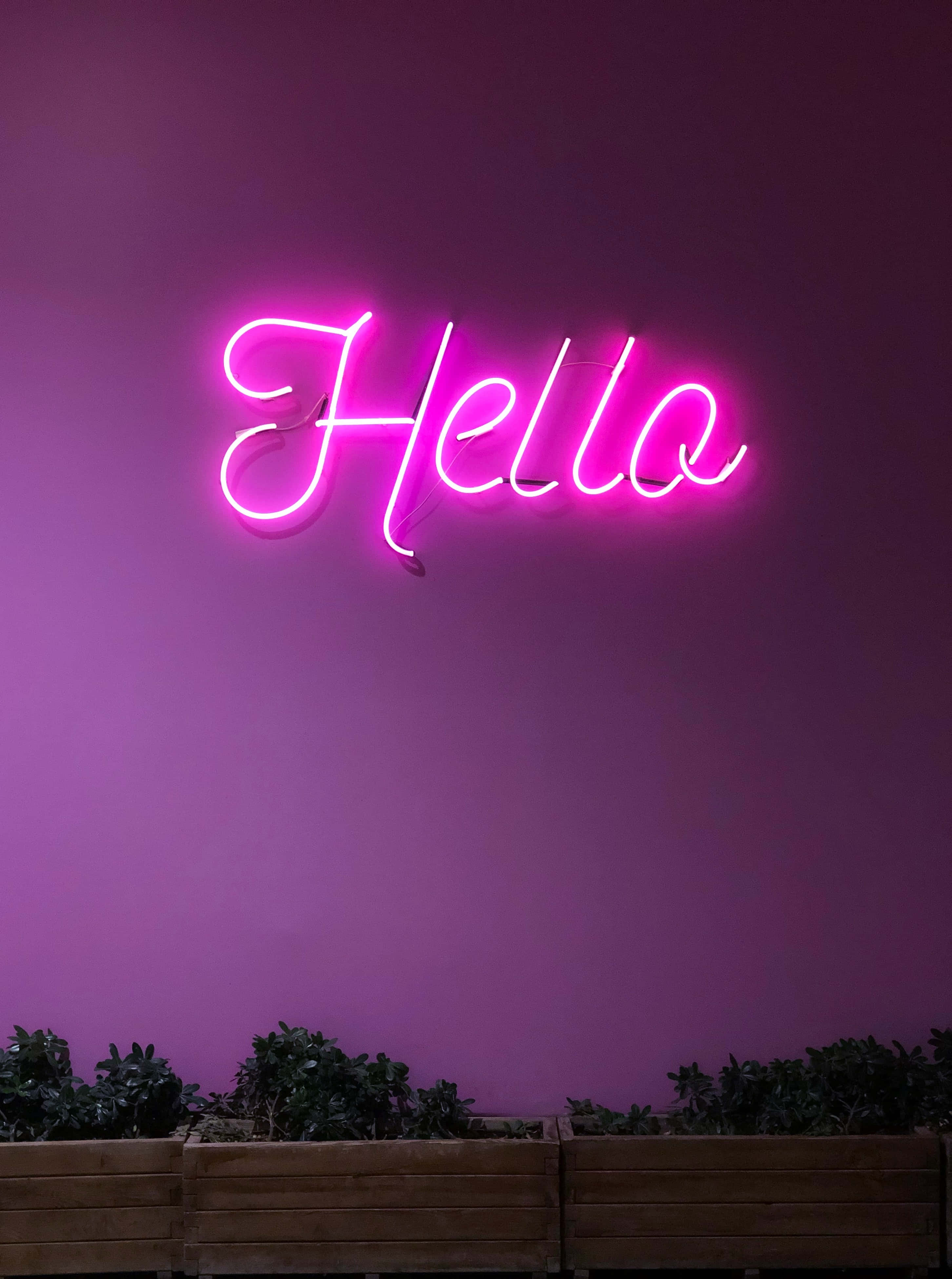 "Tận hưởng trải nghiệm đầy màu sắc độc đáo với Neon Tím" Hình nền