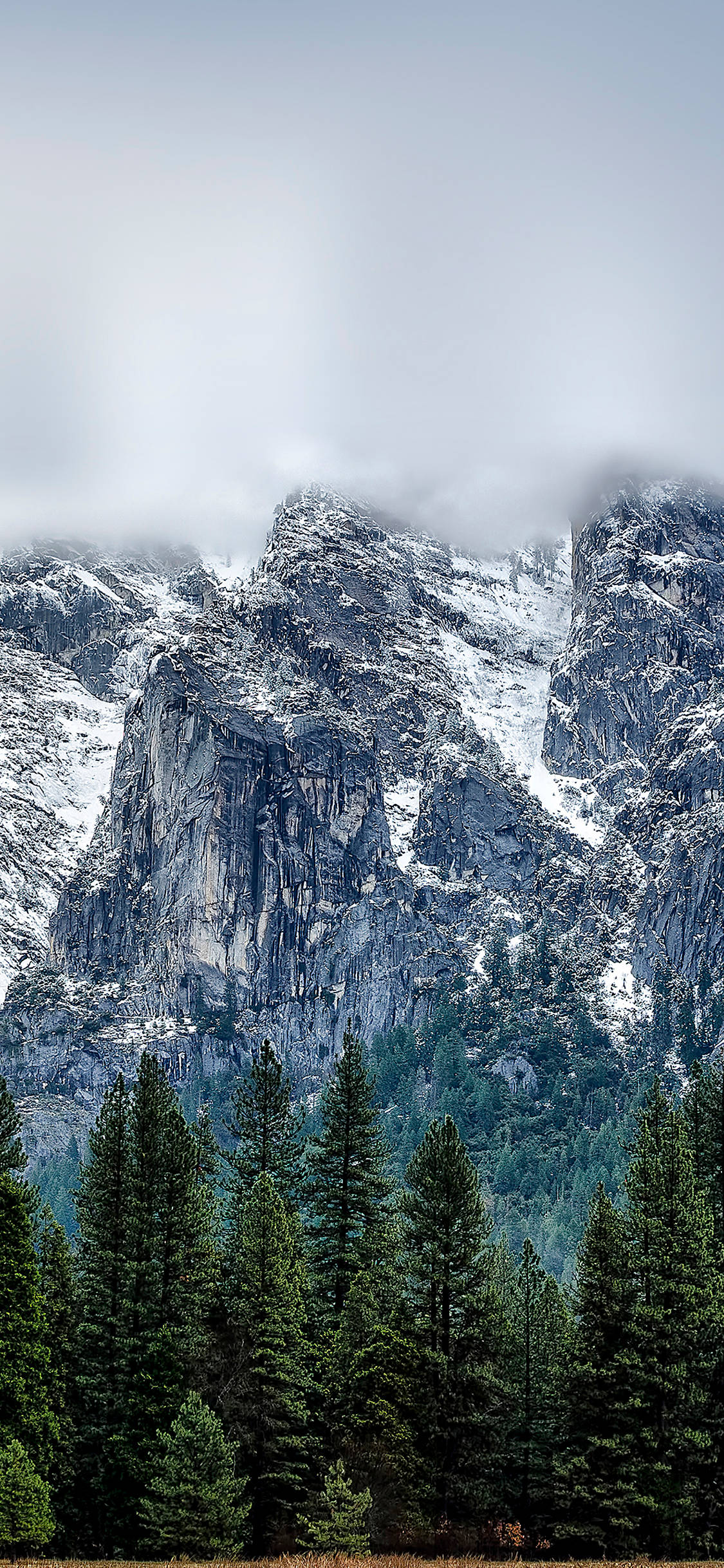 Tận hưởng vẻ đẹp của Yosemite trên iPhone của bạn Hình nền