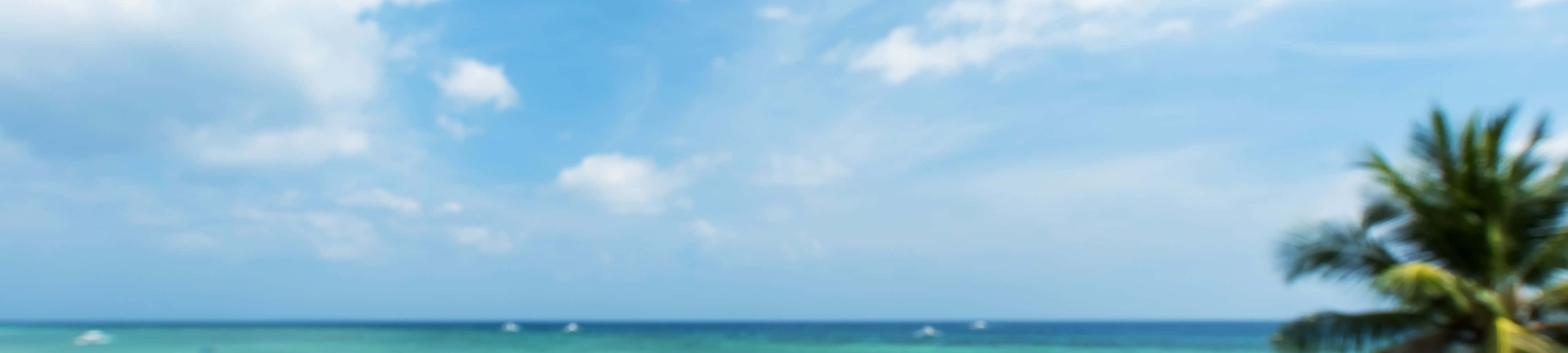 Tận hưởng vẻ đẹp của thiên nhiên Hình nền