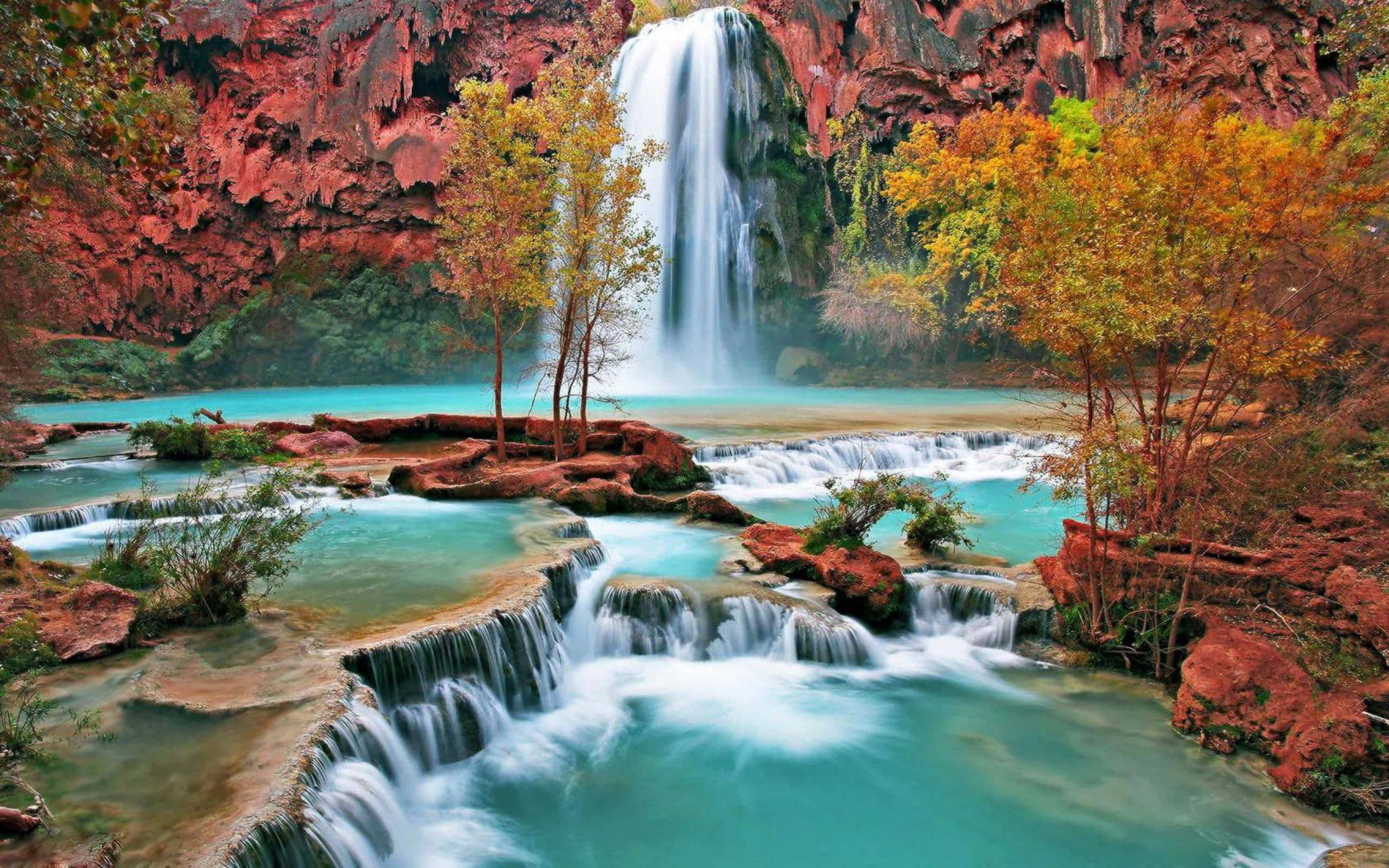 Thác Havasu Falls Arizona Hình nền