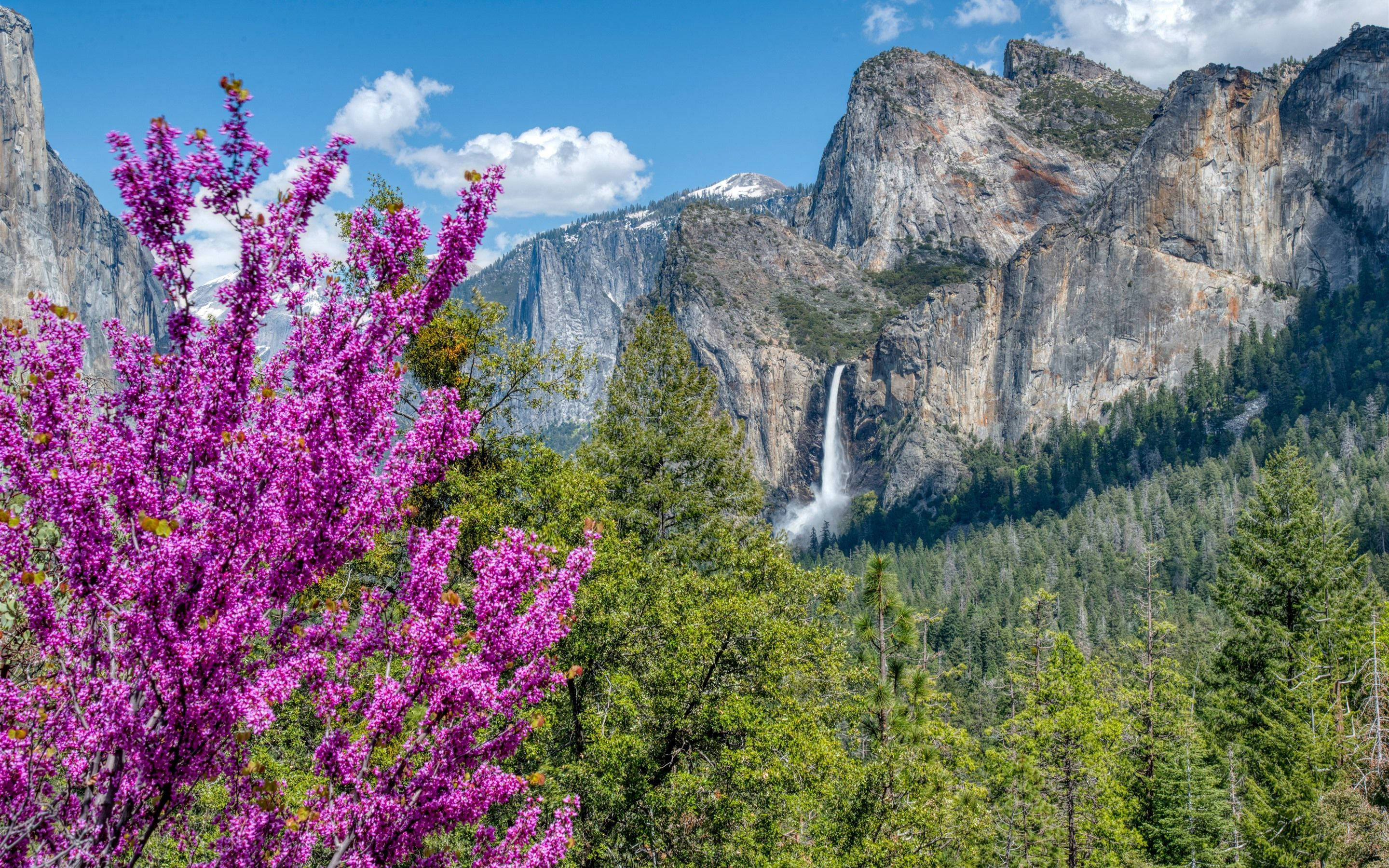 Thác nước Yosemite tuyệt đẹp Hình nền