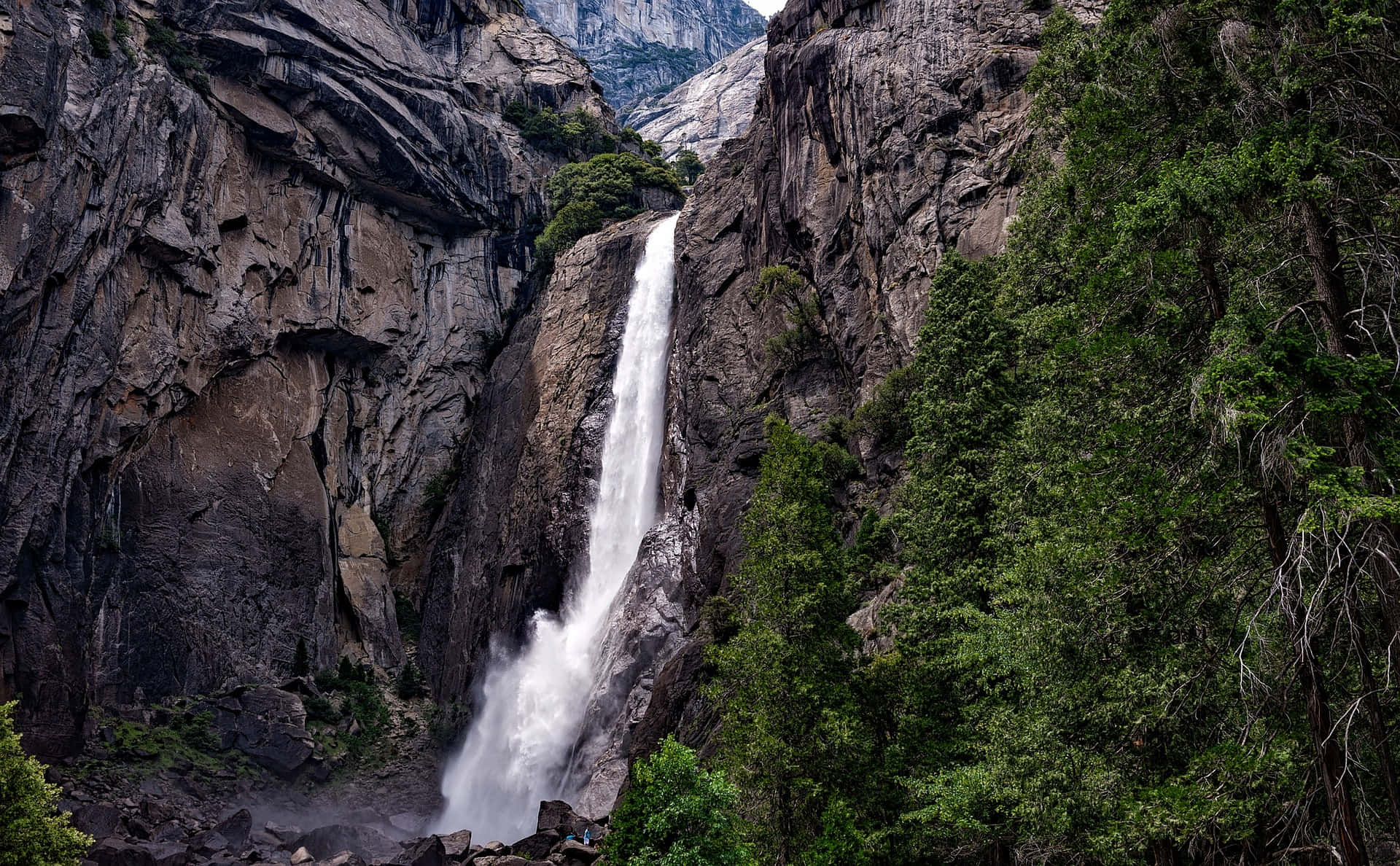 Thác Yosemite tuyệt đẹp trong rừng Hình nền