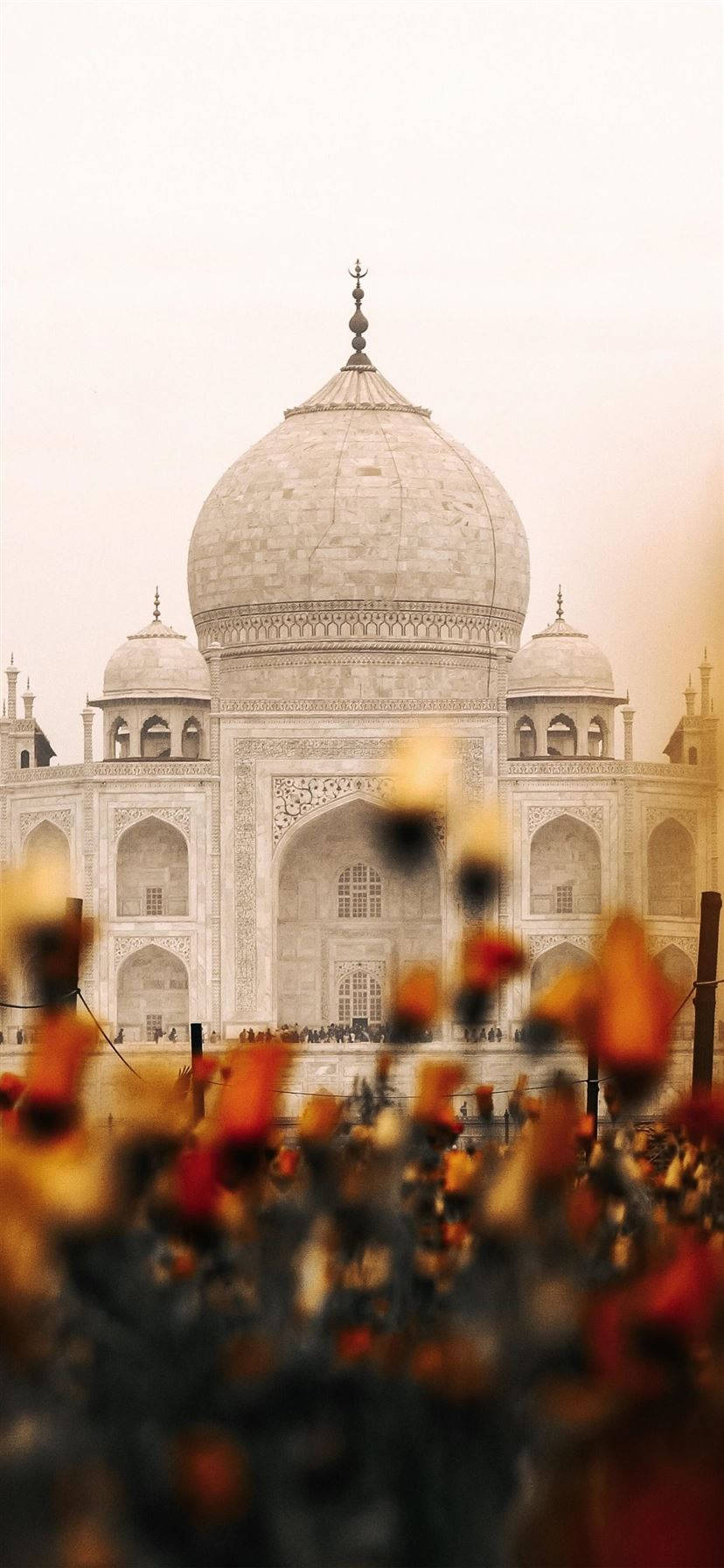 Thẩm Mỹ Ấn Độ Taj Mahal Hoa Hình nền