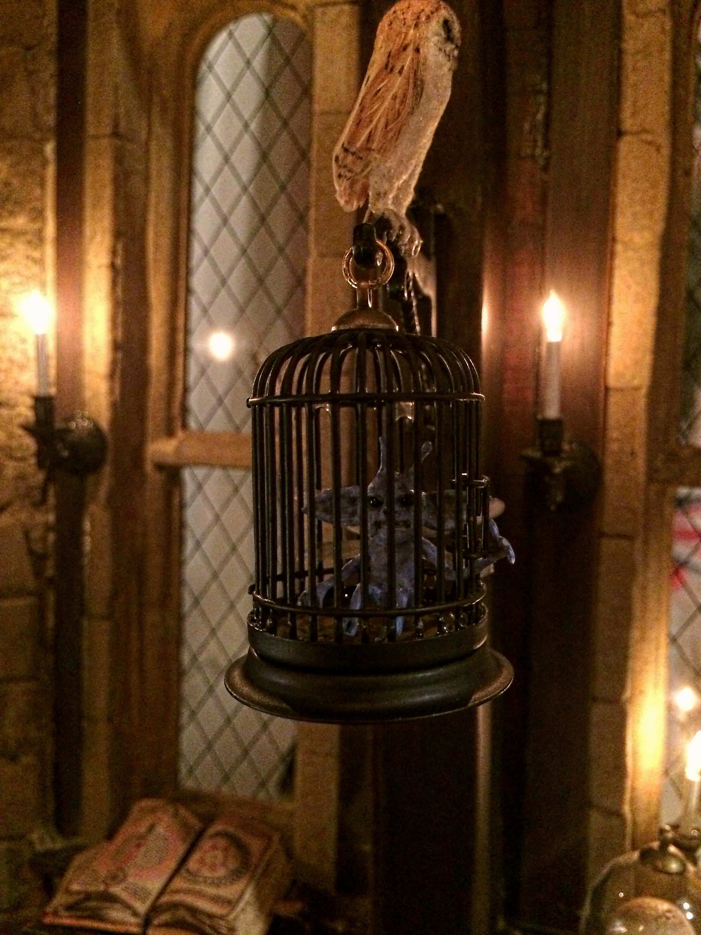 Tham quan lớp học Nghệ thuật Hắc ám bí ẩn tại Hogwarts Hình nền