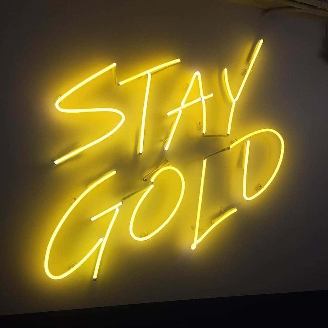 Thắp sáng không gian với đèn neon thẩm mỹ Hình nền