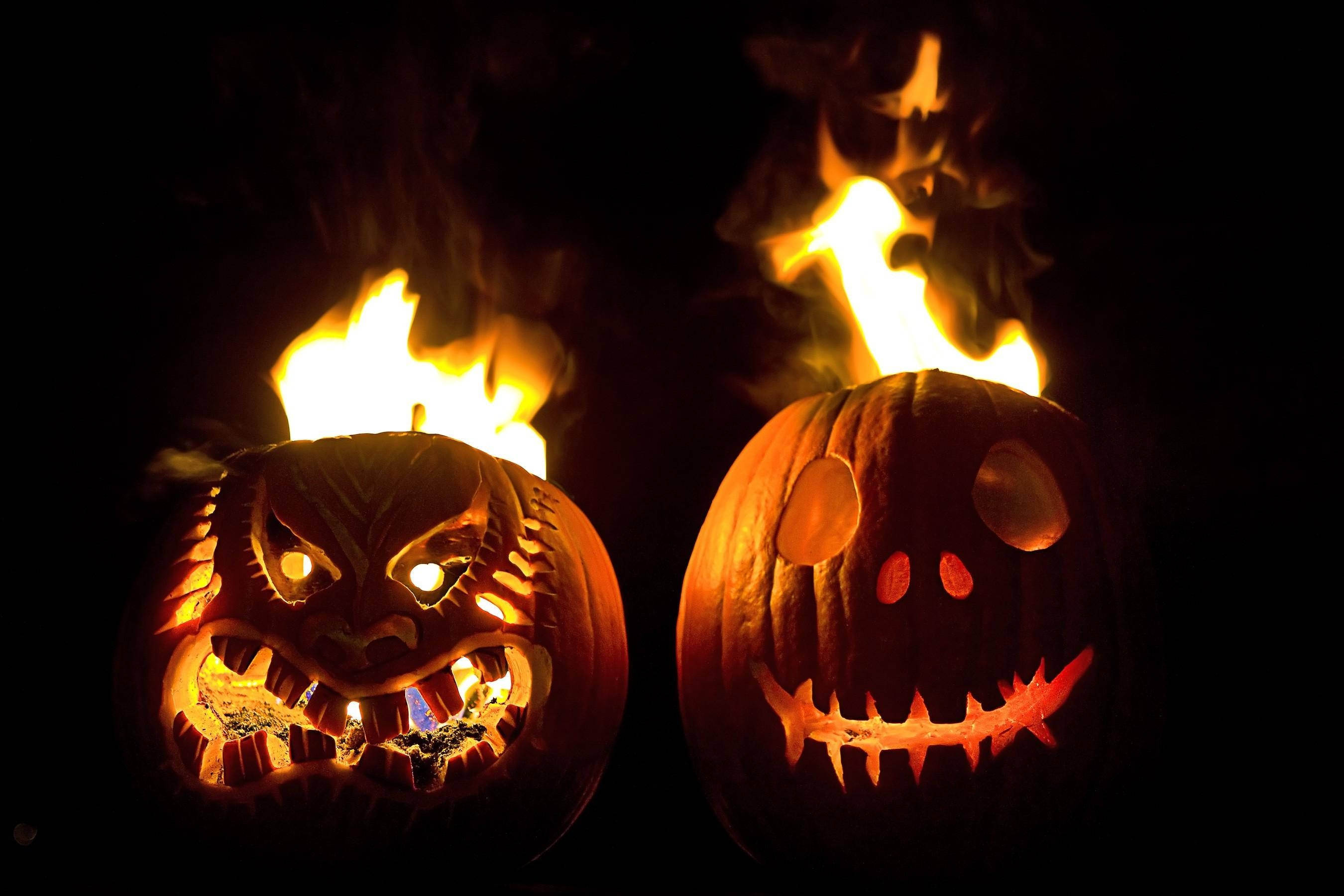Thắp sáng màn đêm với những quả bí ngô Halloween rực lửa! Hình nền