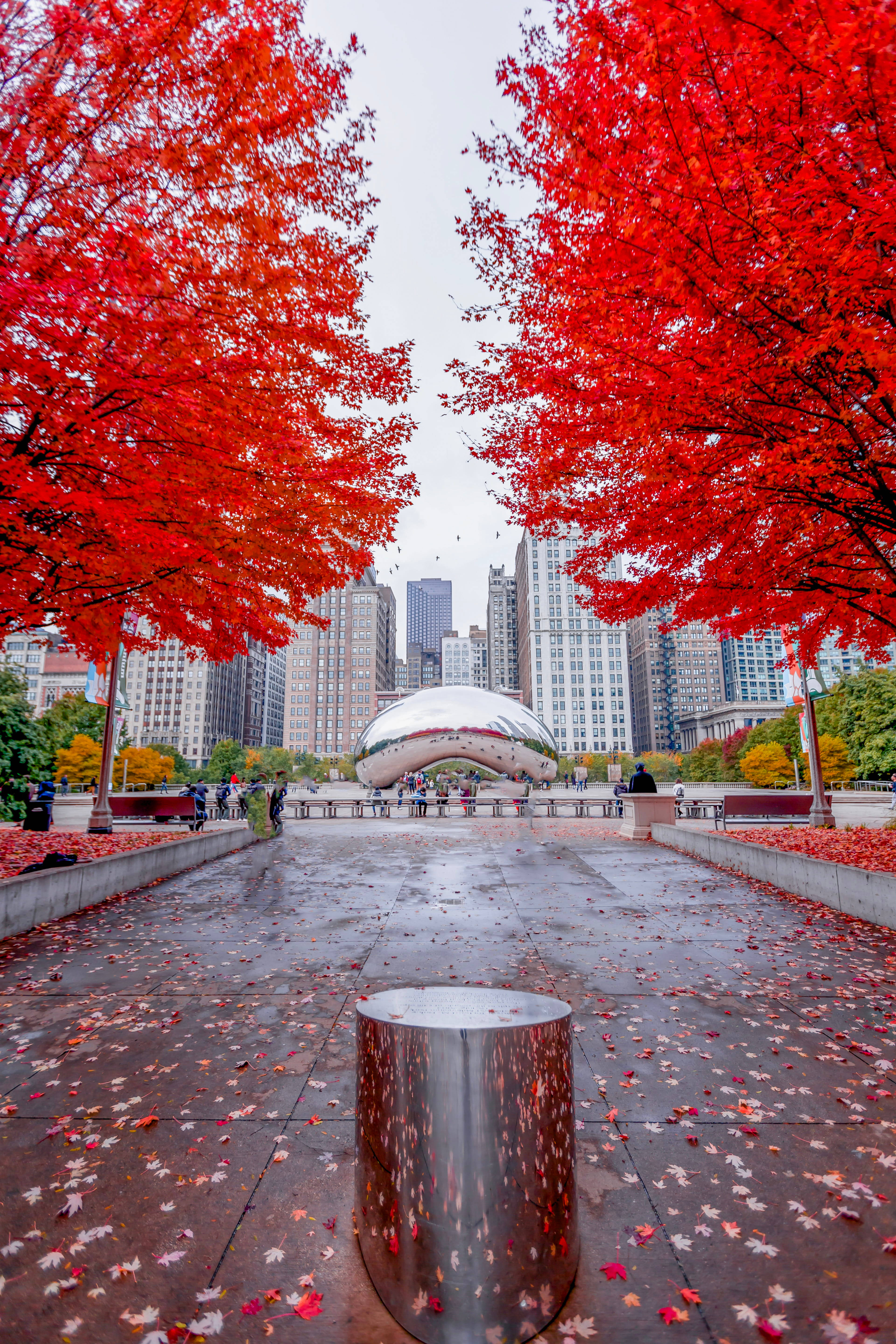 The Bean Chicago Lá Đỏ Hình nền