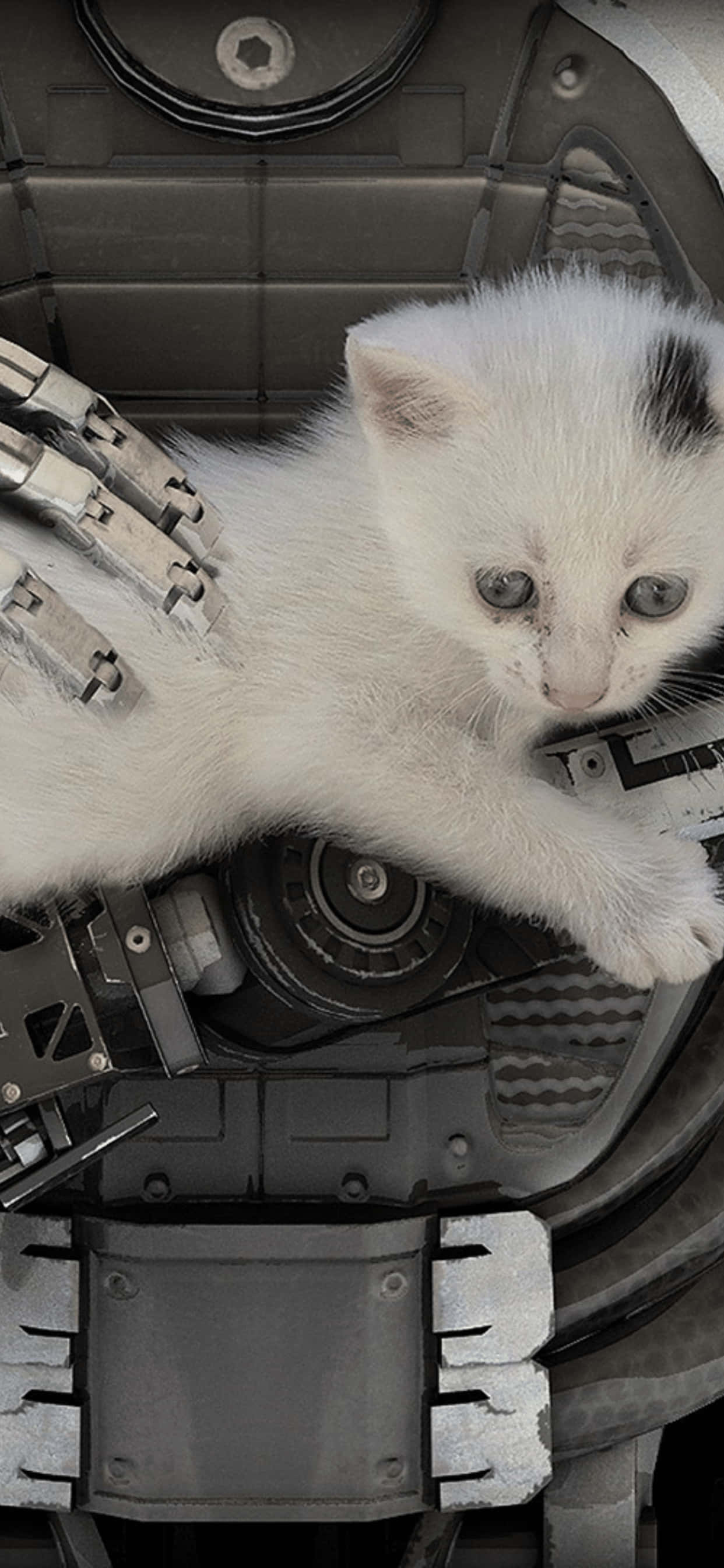 Thế giới hùng vĩ của The Talos Principle trên iPhone XS Max Hình nền