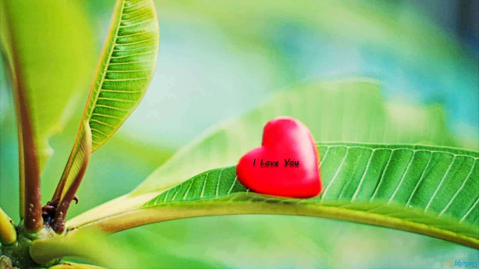 Thể hiện tình yêu với hình nền I Love You lãng mạn. Hình nền