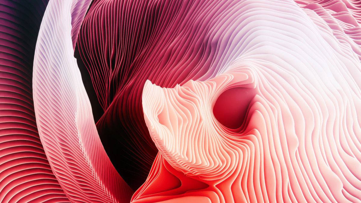 "The MacBook: The definition of creativity and productivity." Hình nền