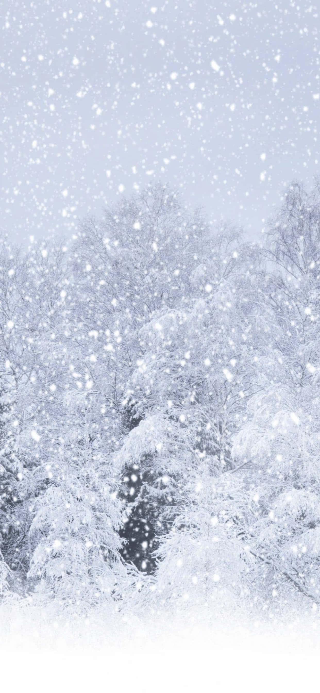 Thick Falling Snow iPhone XS Max Winter Background Hình nền