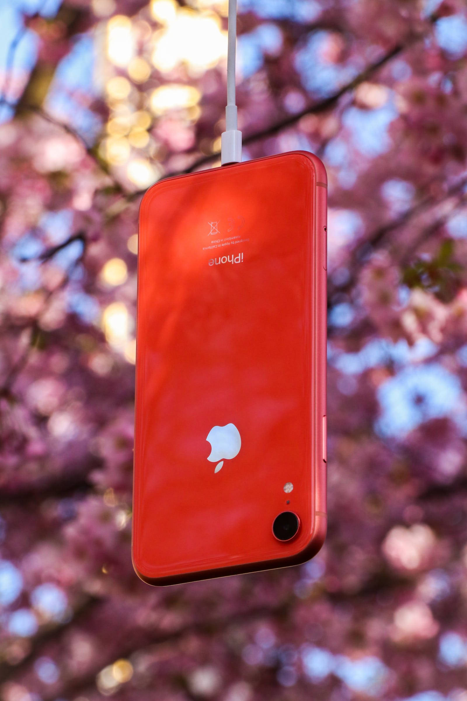 Thiên nhiên iPhone Đỏ Hình nền
