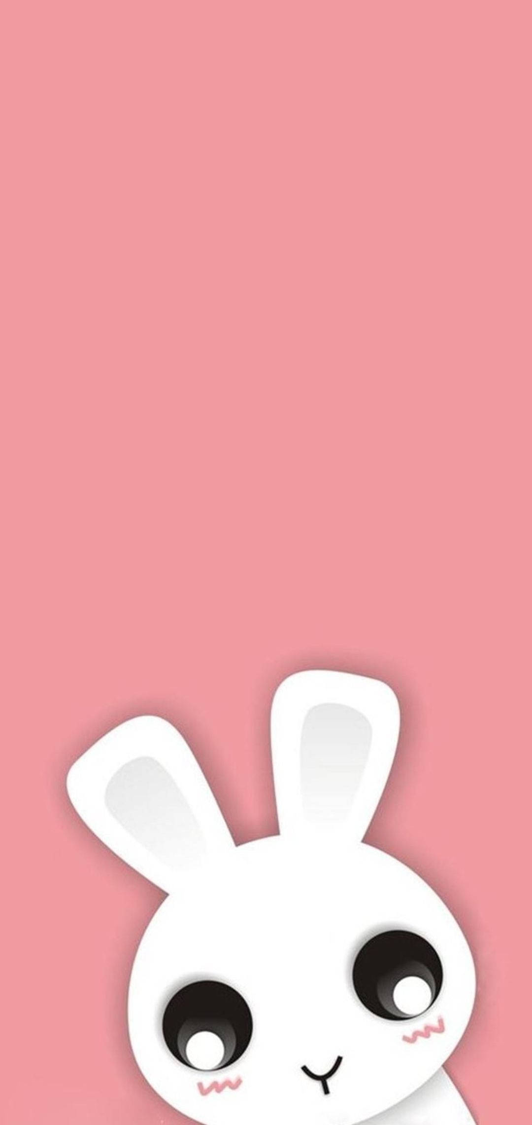 Thỏ Mắt To Dễ Thương Cho iPhone Hình nền