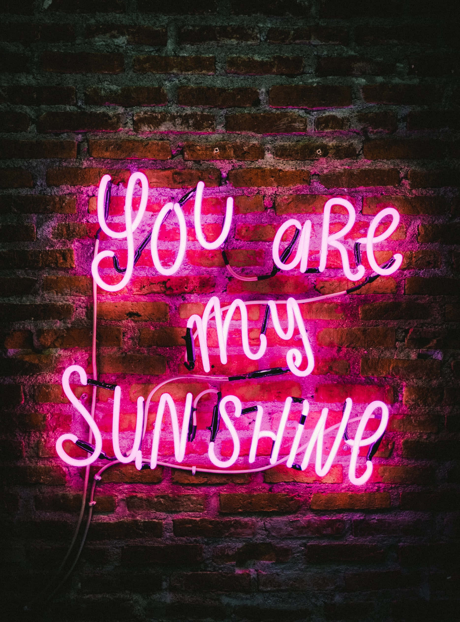 Thổi màu sắc vào cuộc sống với phong cách Neon Aesthetic rực rỡ Hình nền