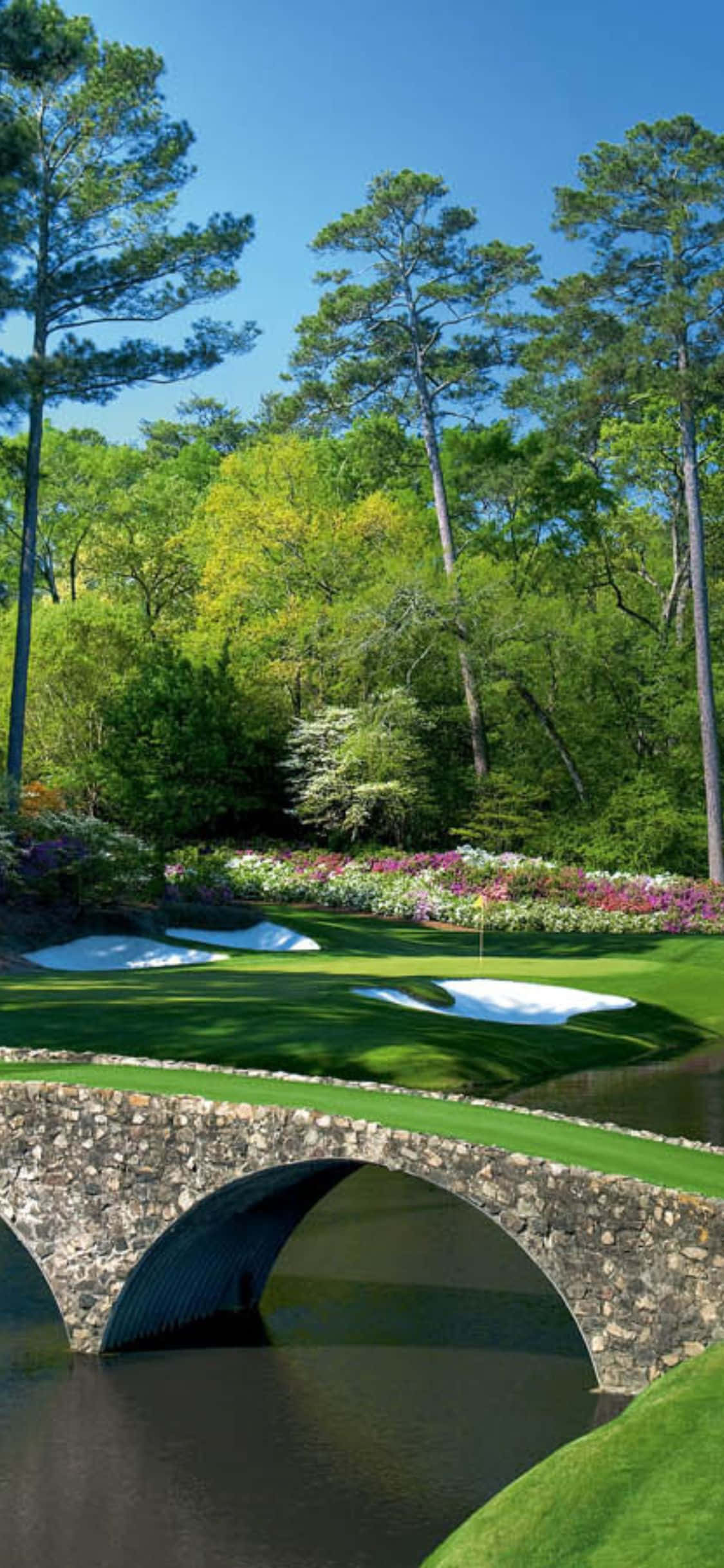 Thưởng thức một vòng golf giữa thiên nhiên tươi đẹp cùng iPhone X Hình nền