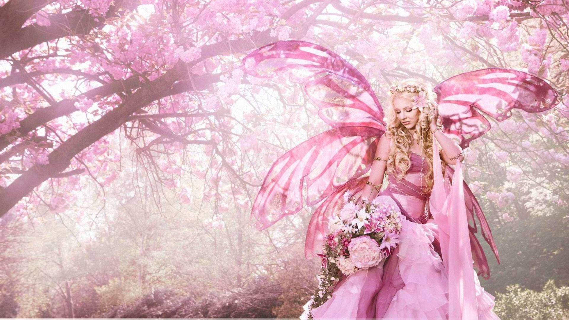 Tiên nữ Sakura thẩm mỹ Hình nền