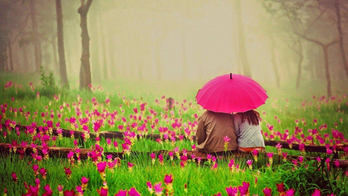 Tình Yêu Của Tôi Ngồi Trên Cỏ Hoa Hình nền