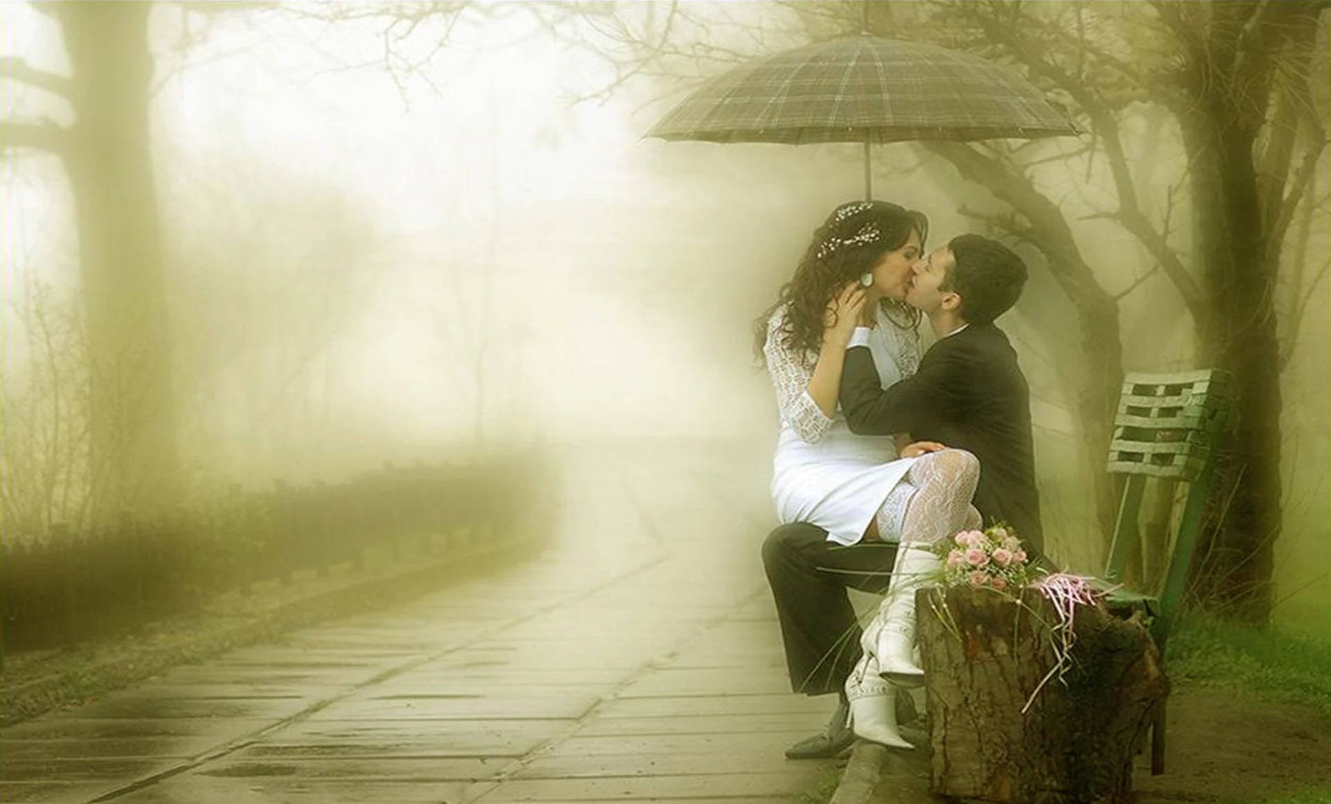 Tình yêu lãng mạn trong công viên Hình nền