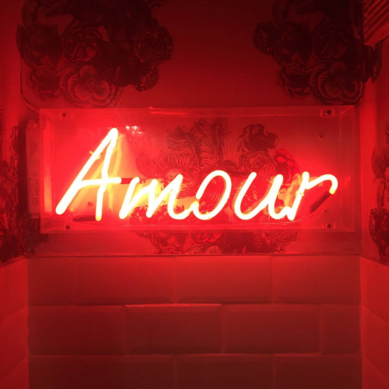 Tình Yêu Neon Đỏ Thẩm Mỹ Hình nền
