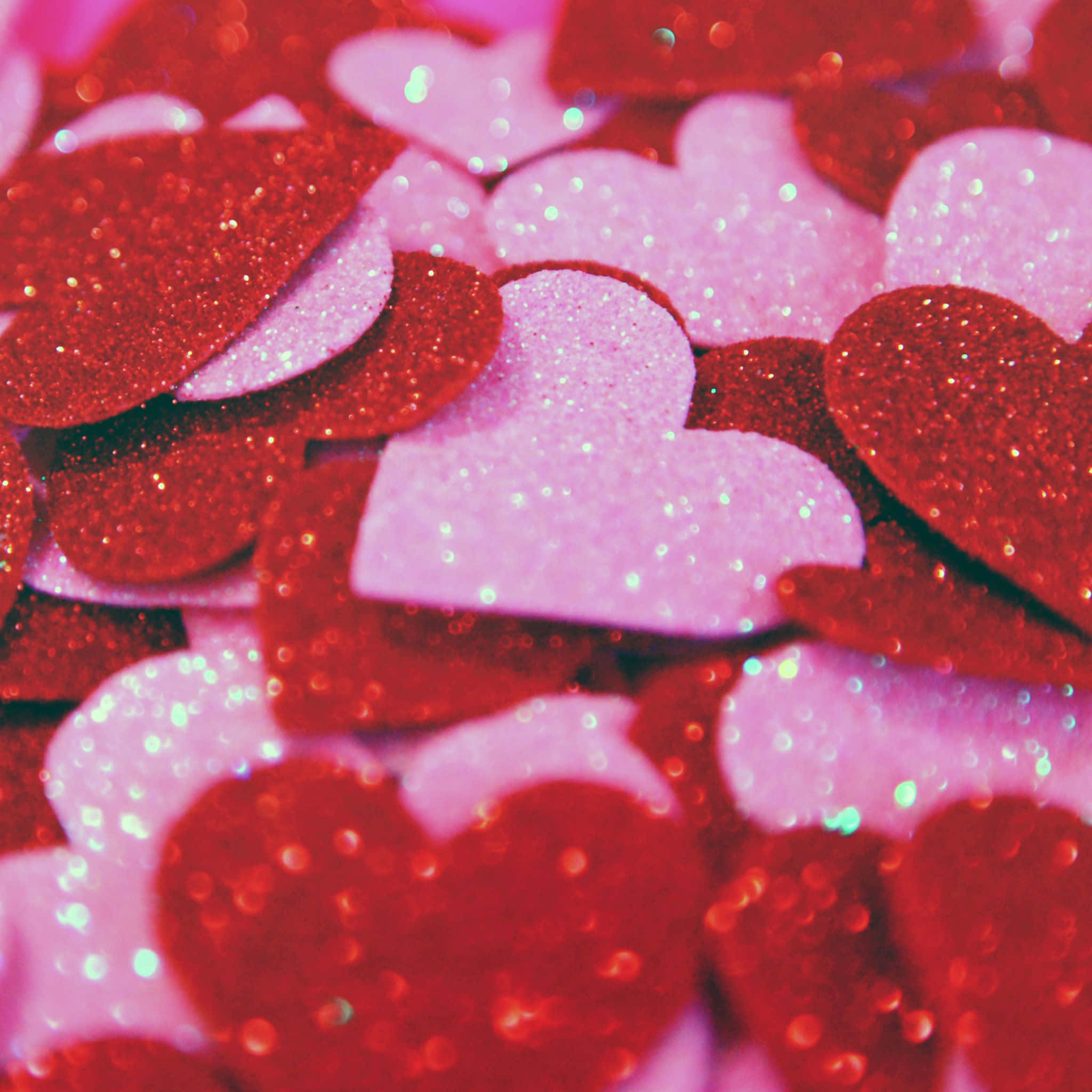 💗 Tình yêu ở khắp mọi nơi Hình nền