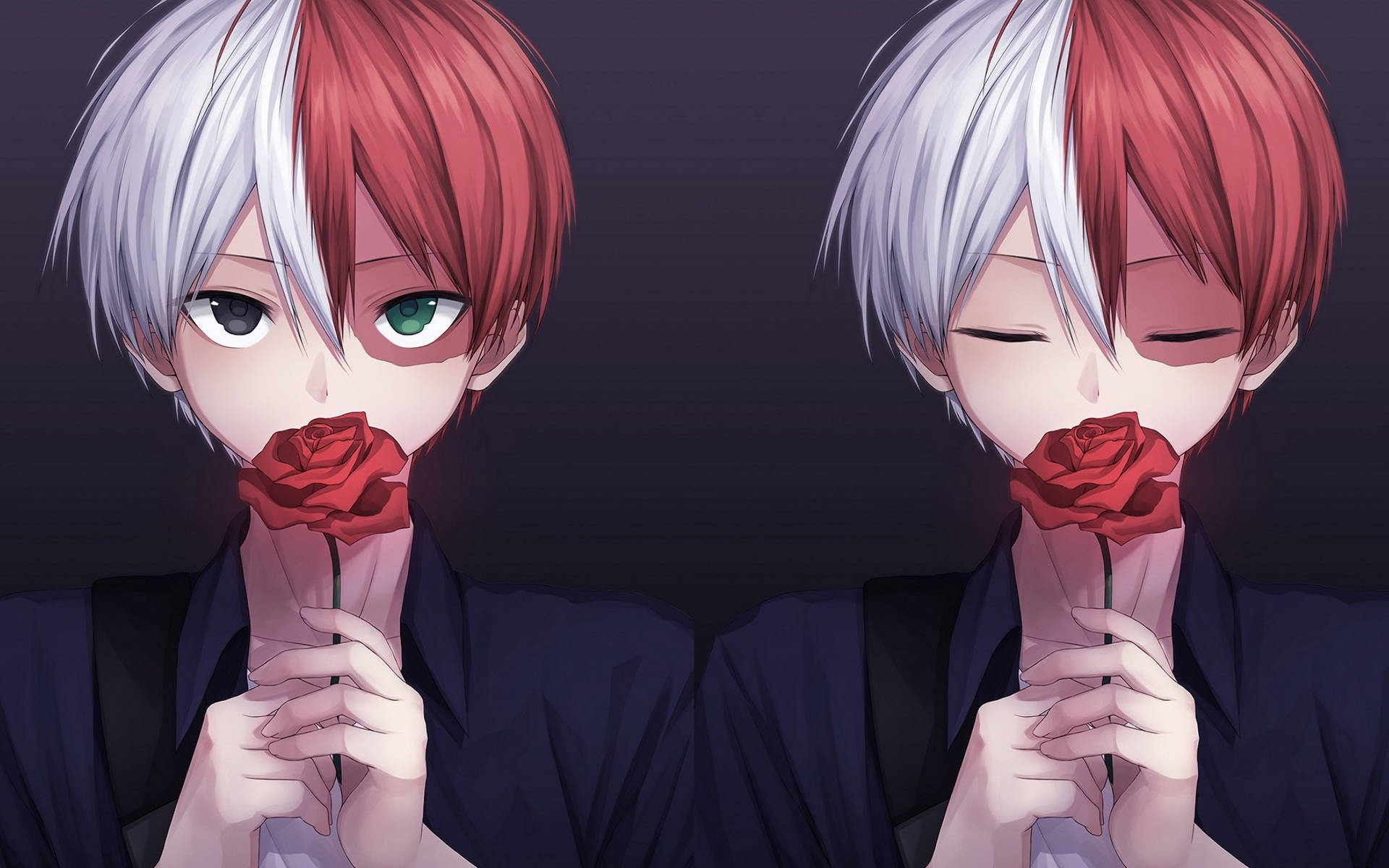 Todoroki dễ thương cầm hoa hồng đỏ Hình nền