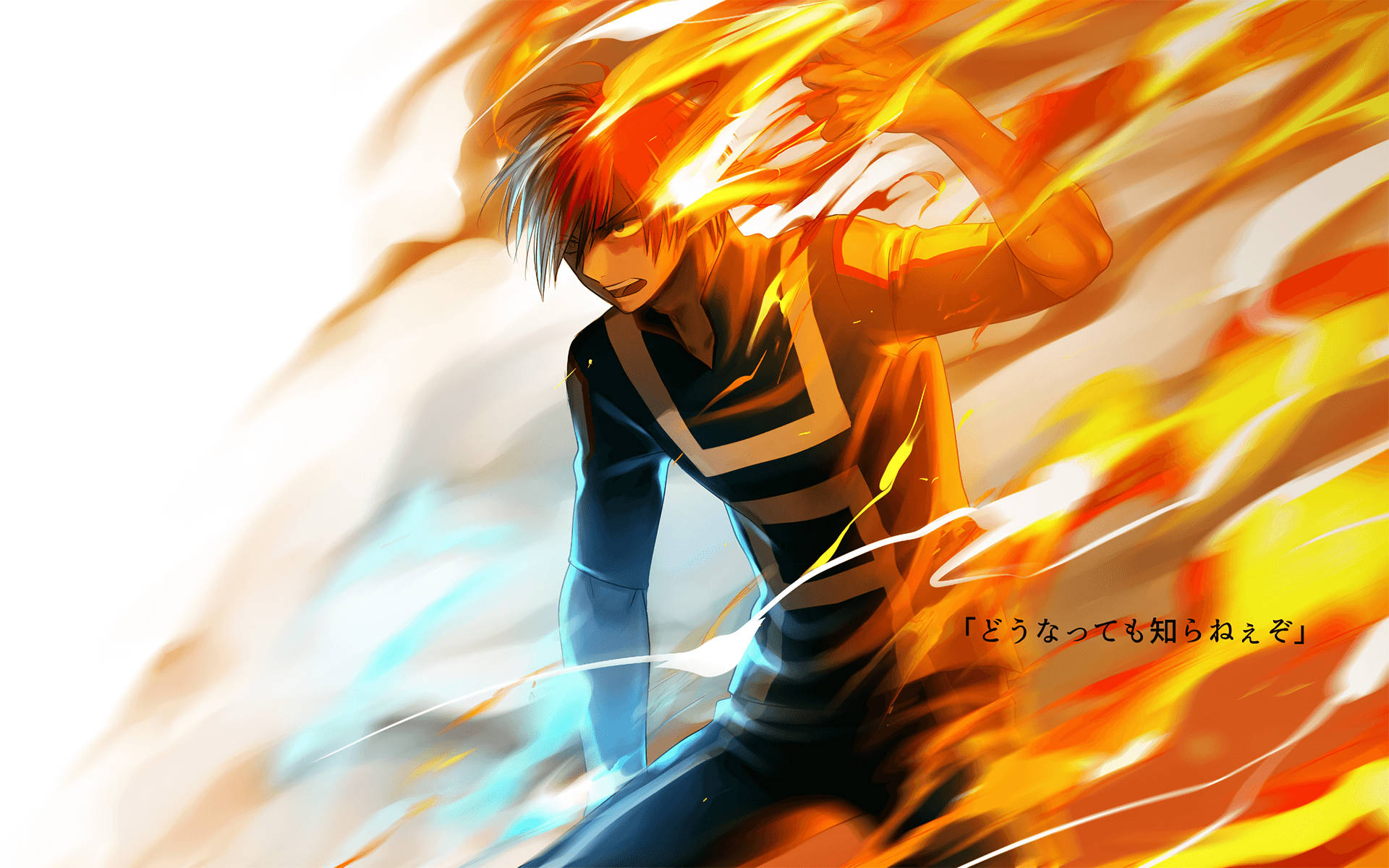 Todoroki Dễ Thương - Poster Trắng Hình nền