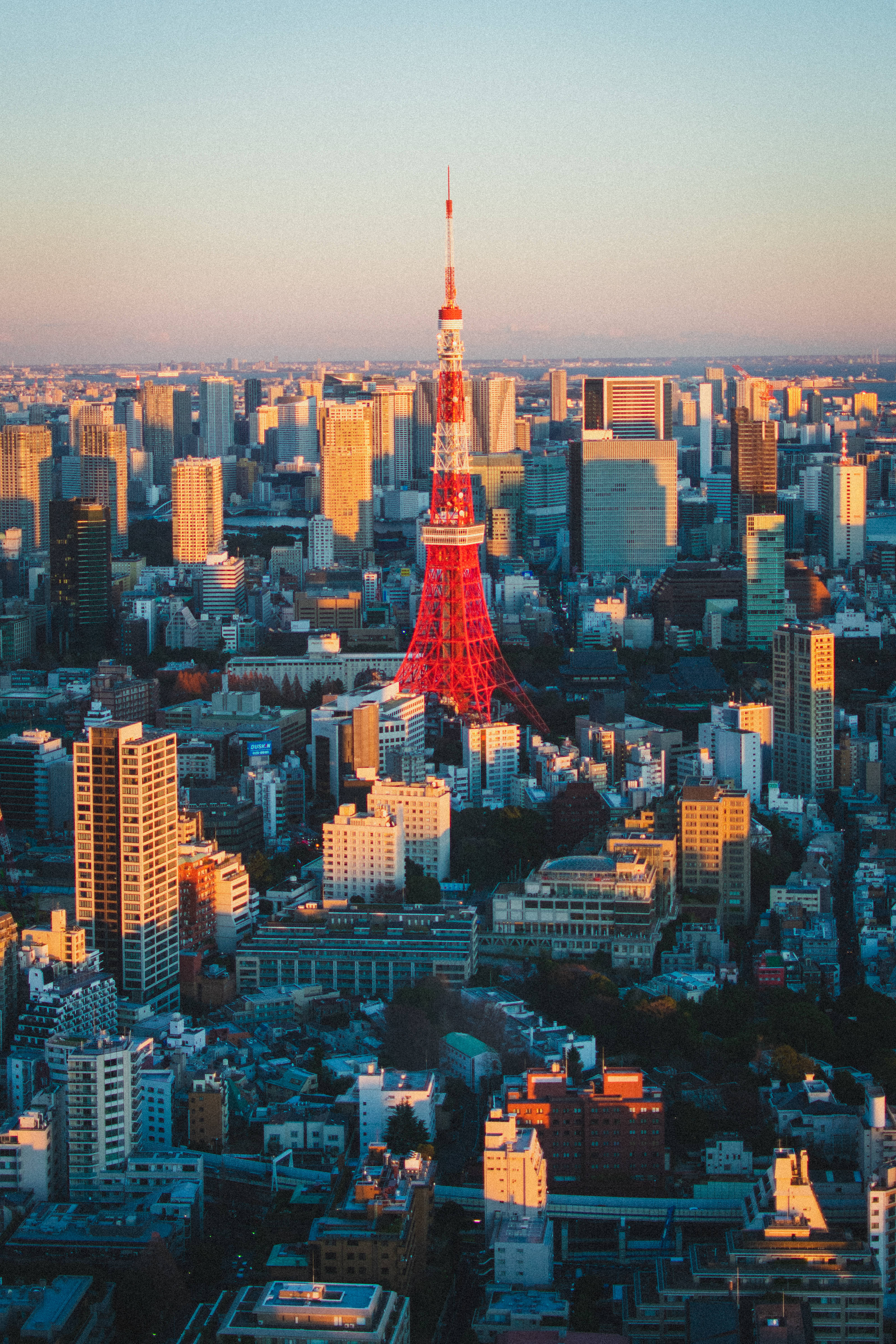 Tokyo Metropolis và Tháp Tokyo Đỏ Hình nền