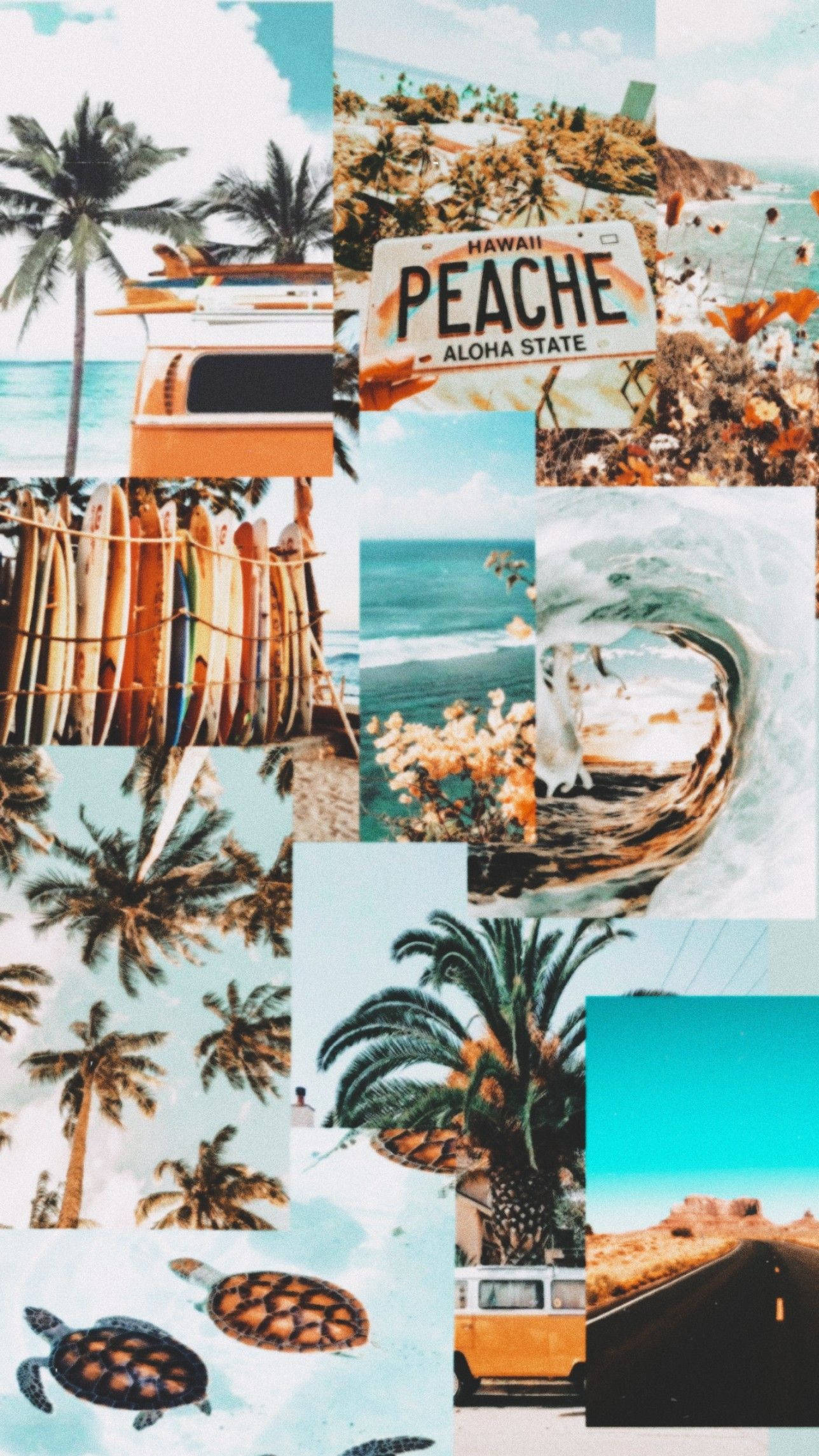 Tổng hợp Vibe Biển Mùa Hè Thẩm Mỹ Hình nền