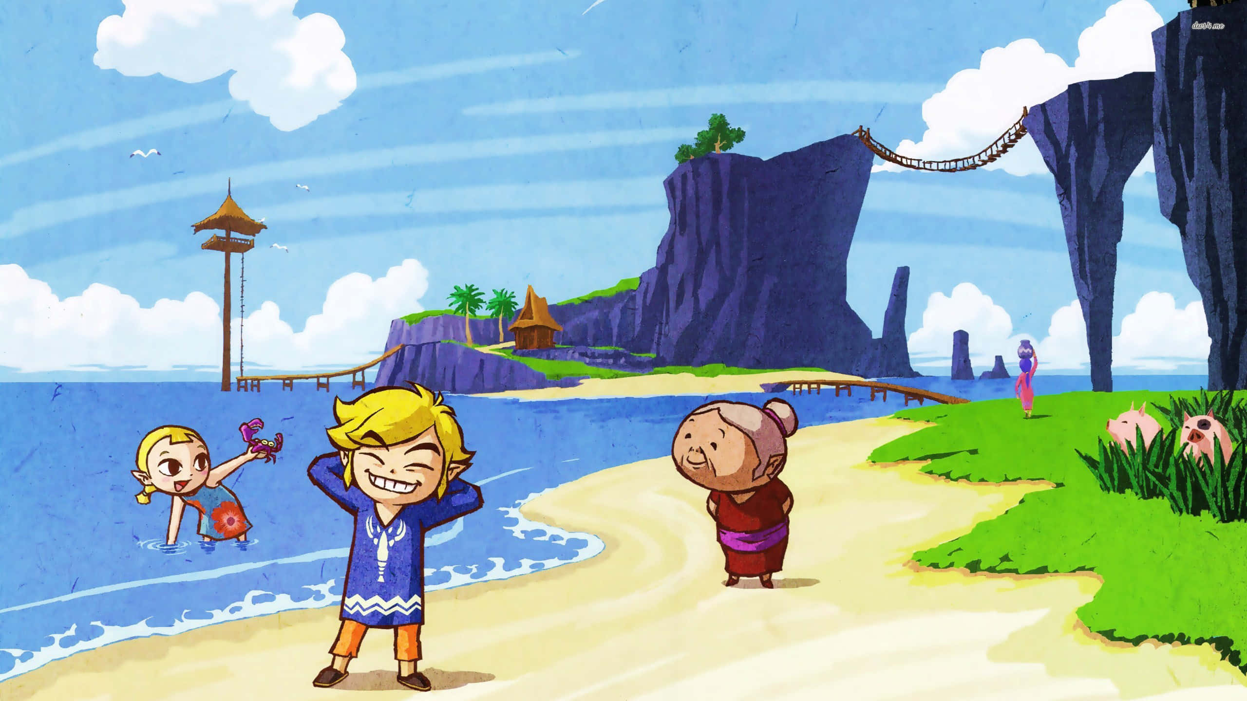 Toon Link ở Bãi Biển Hình nền