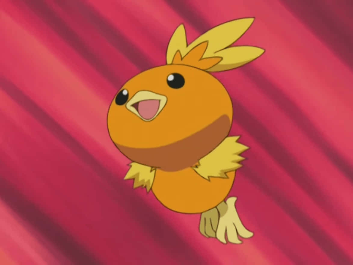 Torchic Nhảy Với Nền Đỏ Hình nền