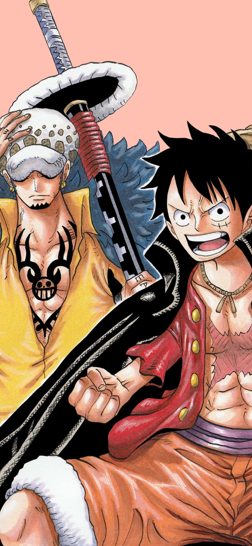 Trafalgar Law, Chiến lược gia xảo quyệt của Băng Hải Tặc Trái Tim Hình nền