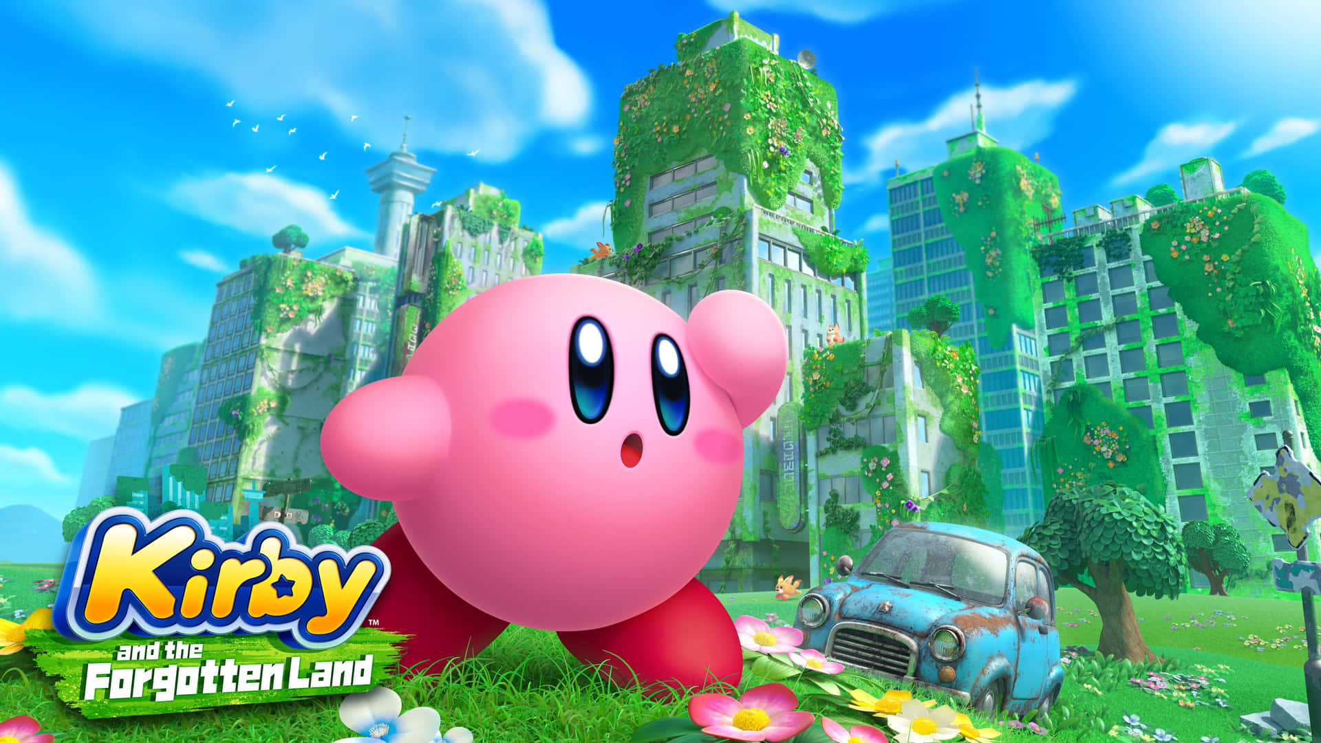 Hình nền Kirby — Kirby GIF Hình nền
