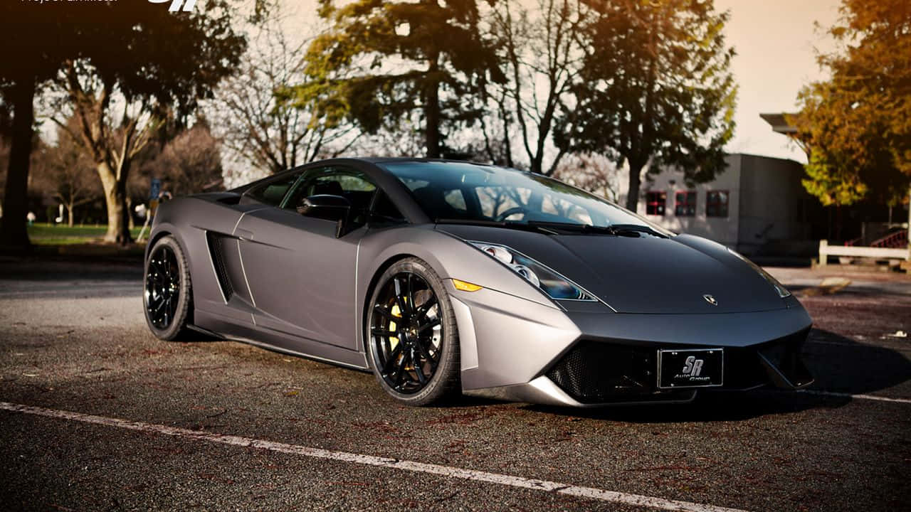 Trải nghiệm hành động đua xe tốc độ cao trong Project Cars Hình nền