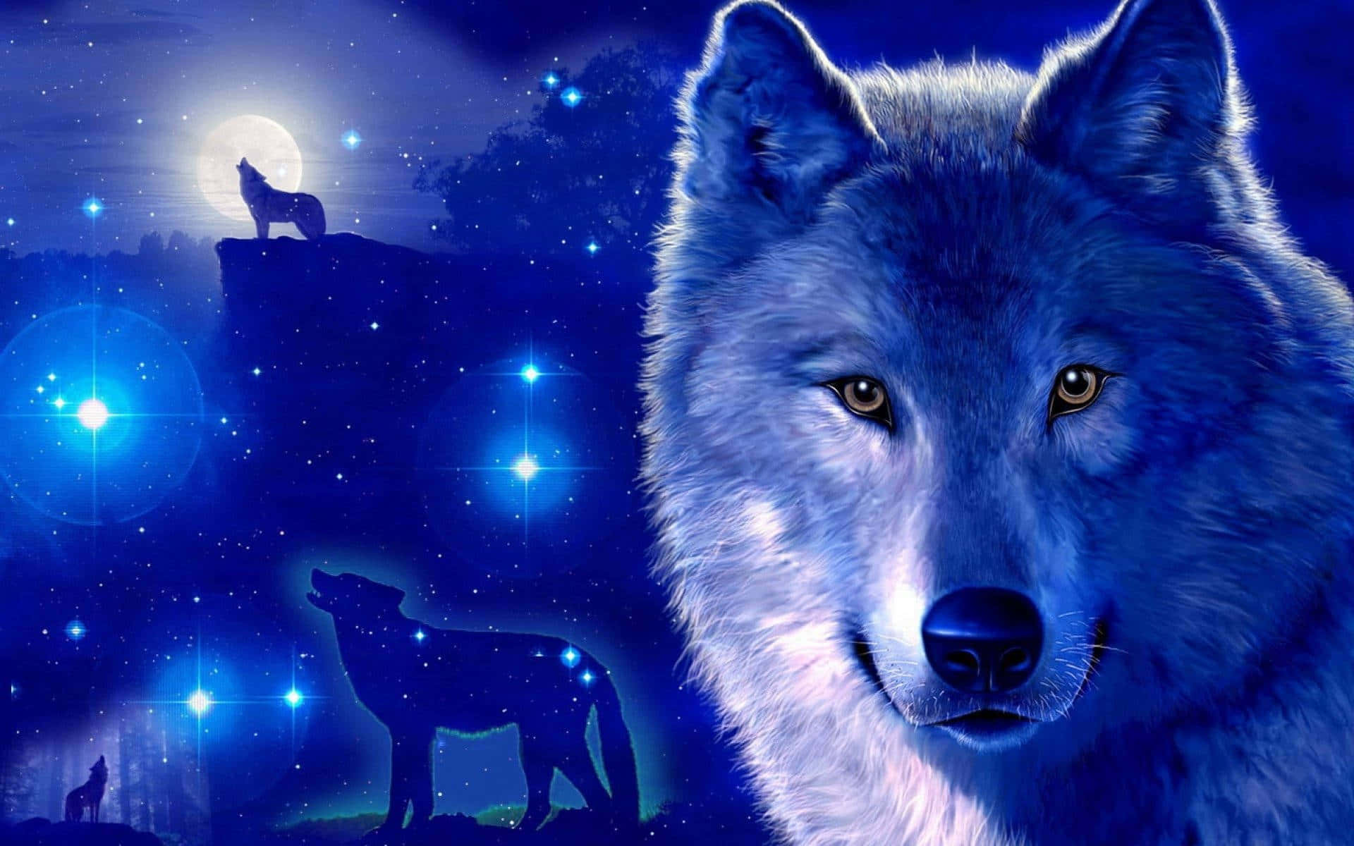 Trải nghiệm vẻ đẹp của những vì sao cùng Galaxy Wolf Hình nền