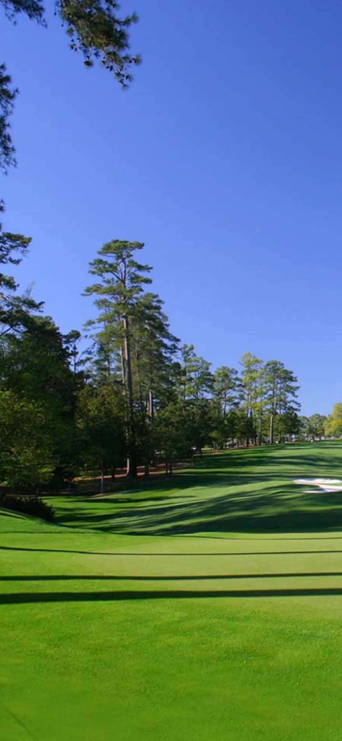 Trải nghiệm vẻ đẹp lộng lẫy của sân golf với iPhone X Hình nền