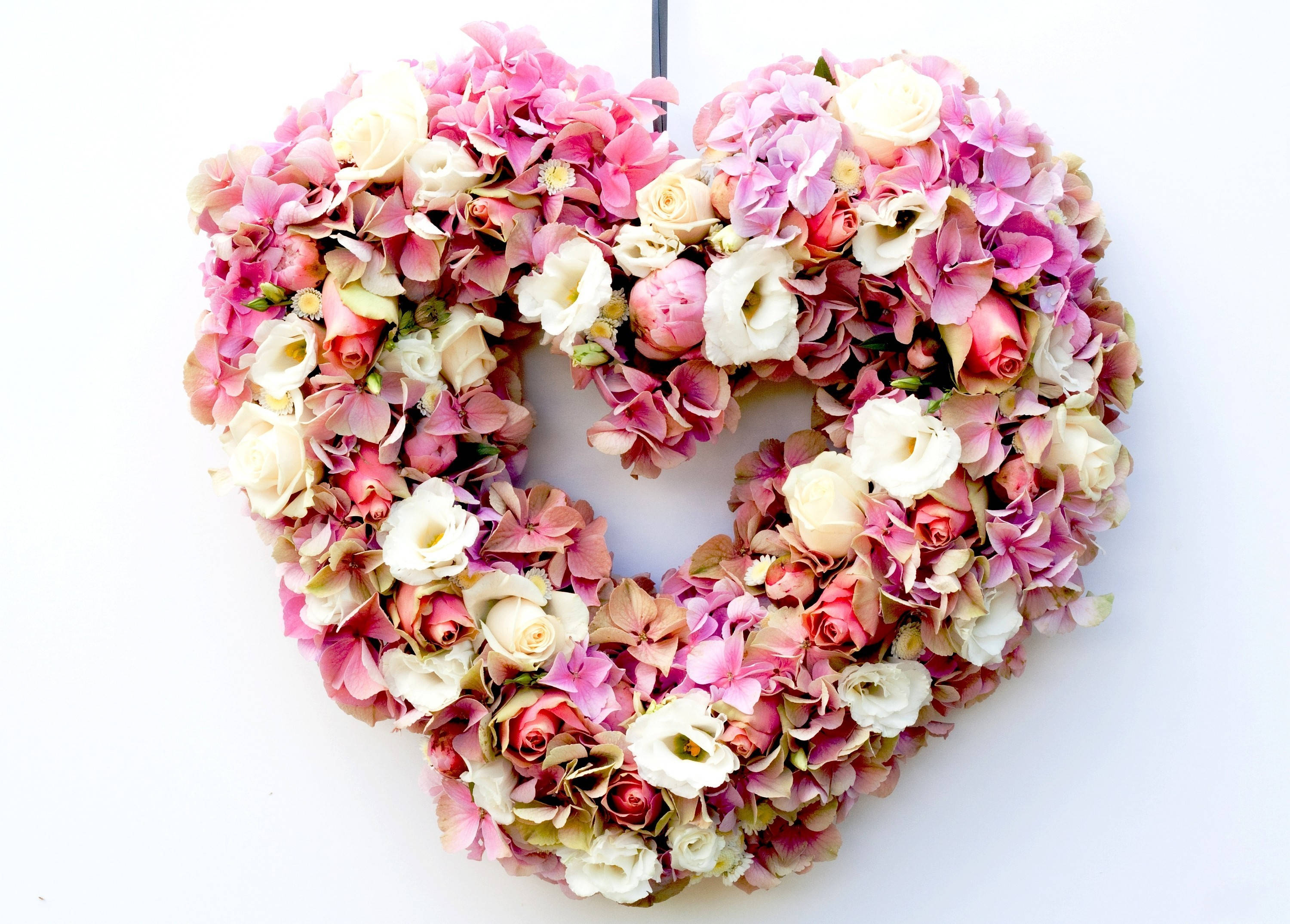 Trái Tim Hoa Hồng Dịu Dàng Cho Ngày Valentine Hình nền