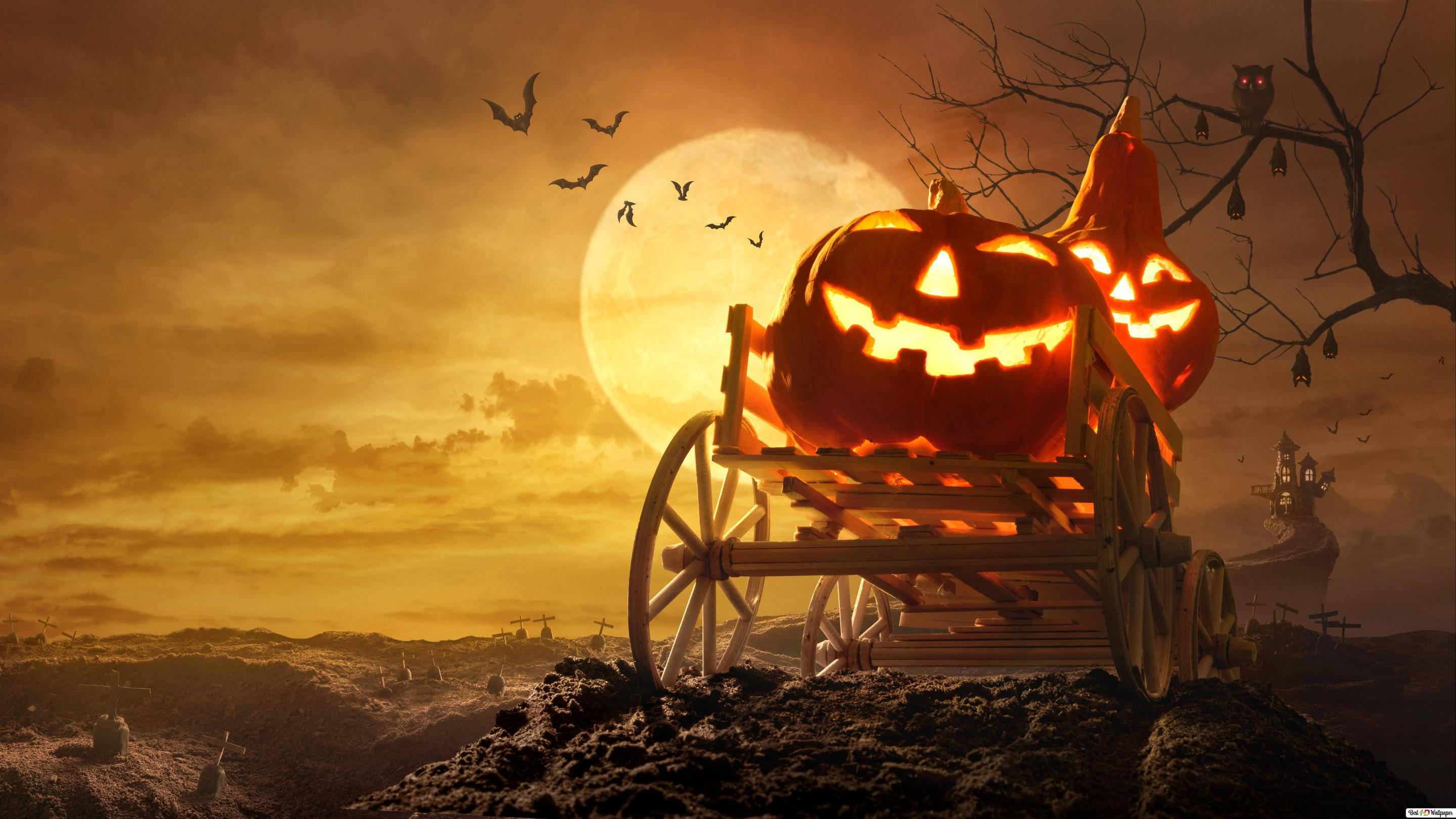 Trăng Rằm Bí Ngô Halloween iPhone Hình nền