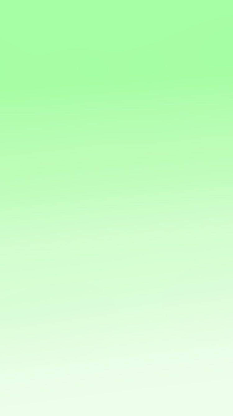 Trắng Xanh Lá Mỹ Thuật Gradient Hình nền