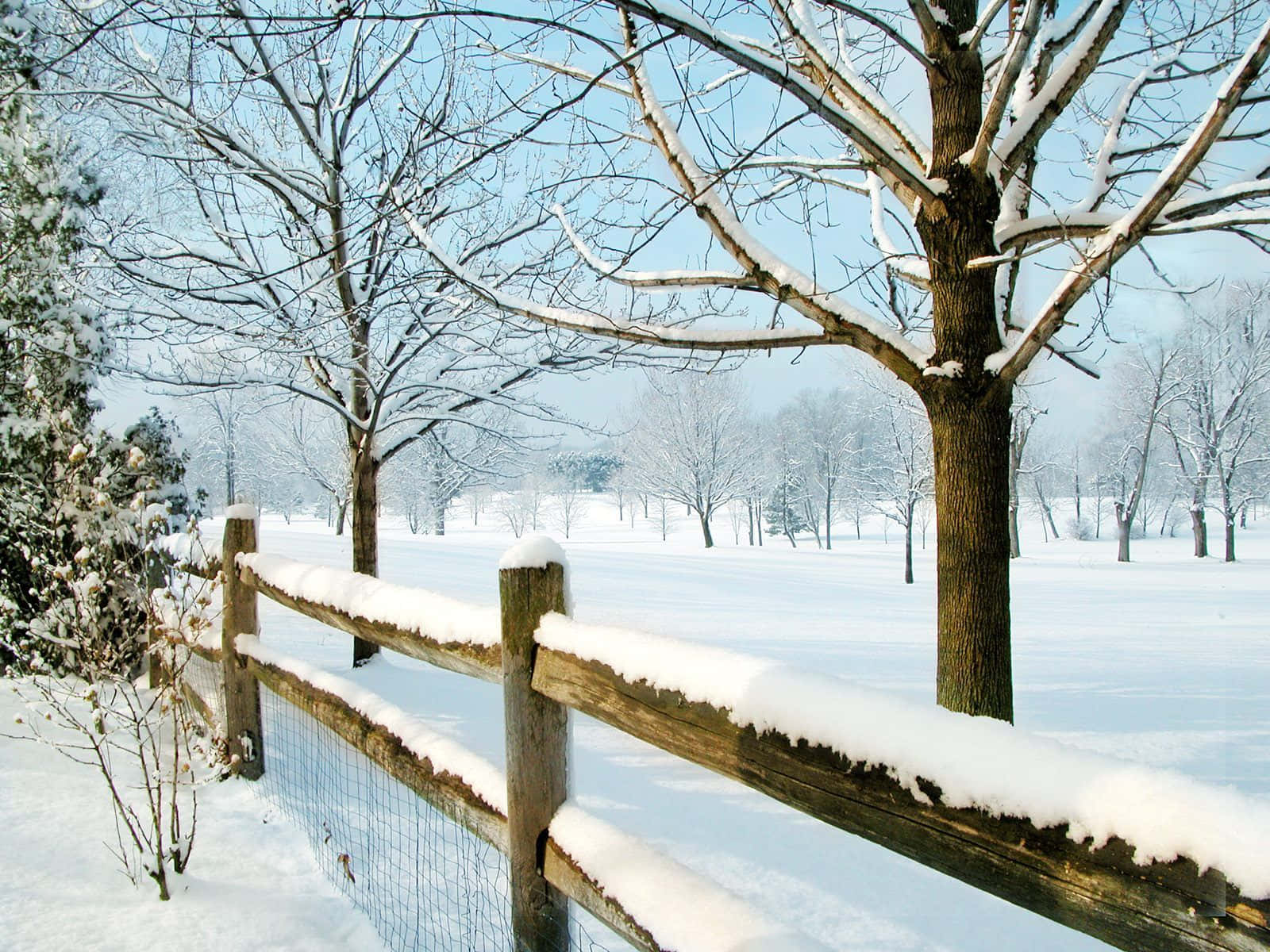 Tranh vẽ hàng rào mùa đông New Hampshire Hình nền