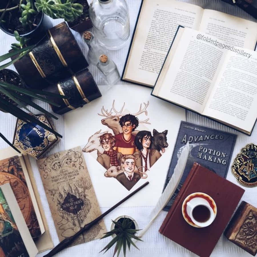 Trưng bày cửa sổ thẩm mỹ với kỷ vật Harry Potter Hình nền