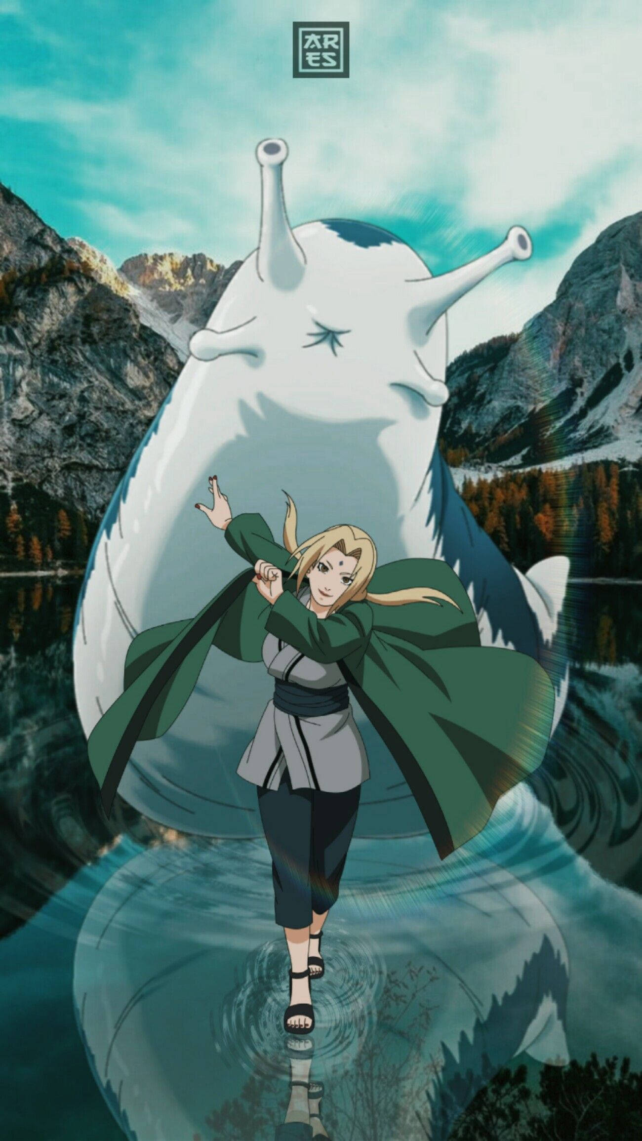 Tsunade và Katsuyu Hình nền